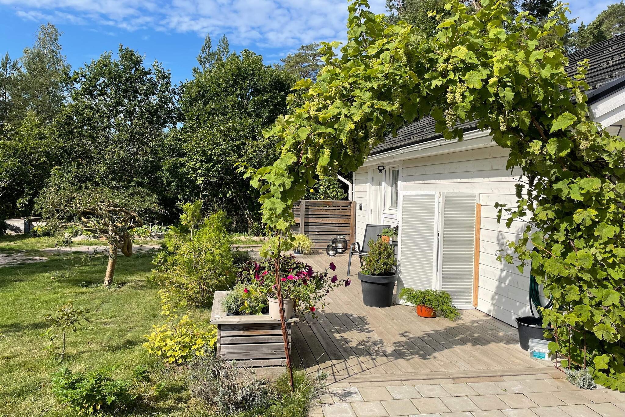 4 Personen vakantie huis in BORGHOLM-Buitenlucht