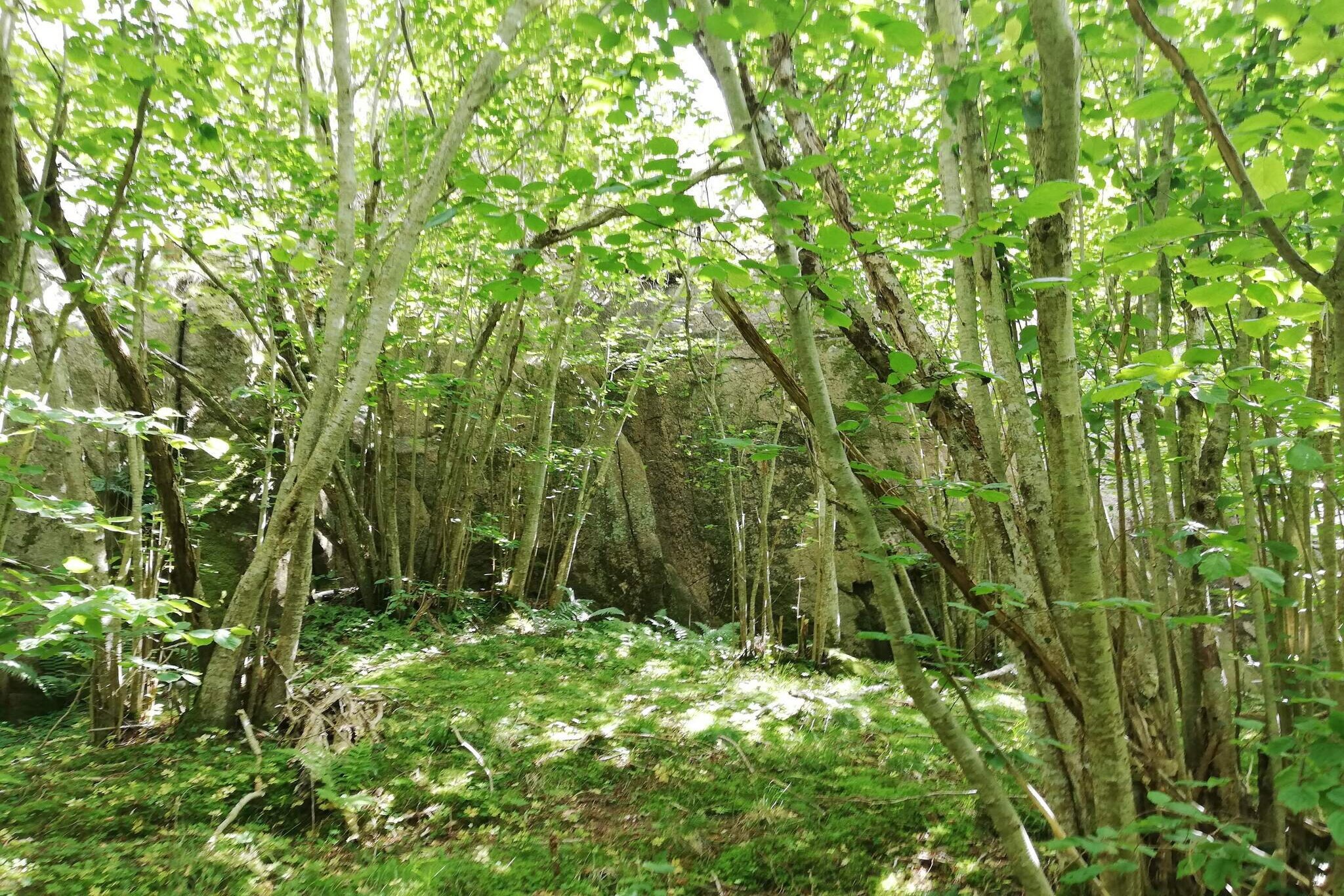 5 person holiday home in HAMBURGSUND