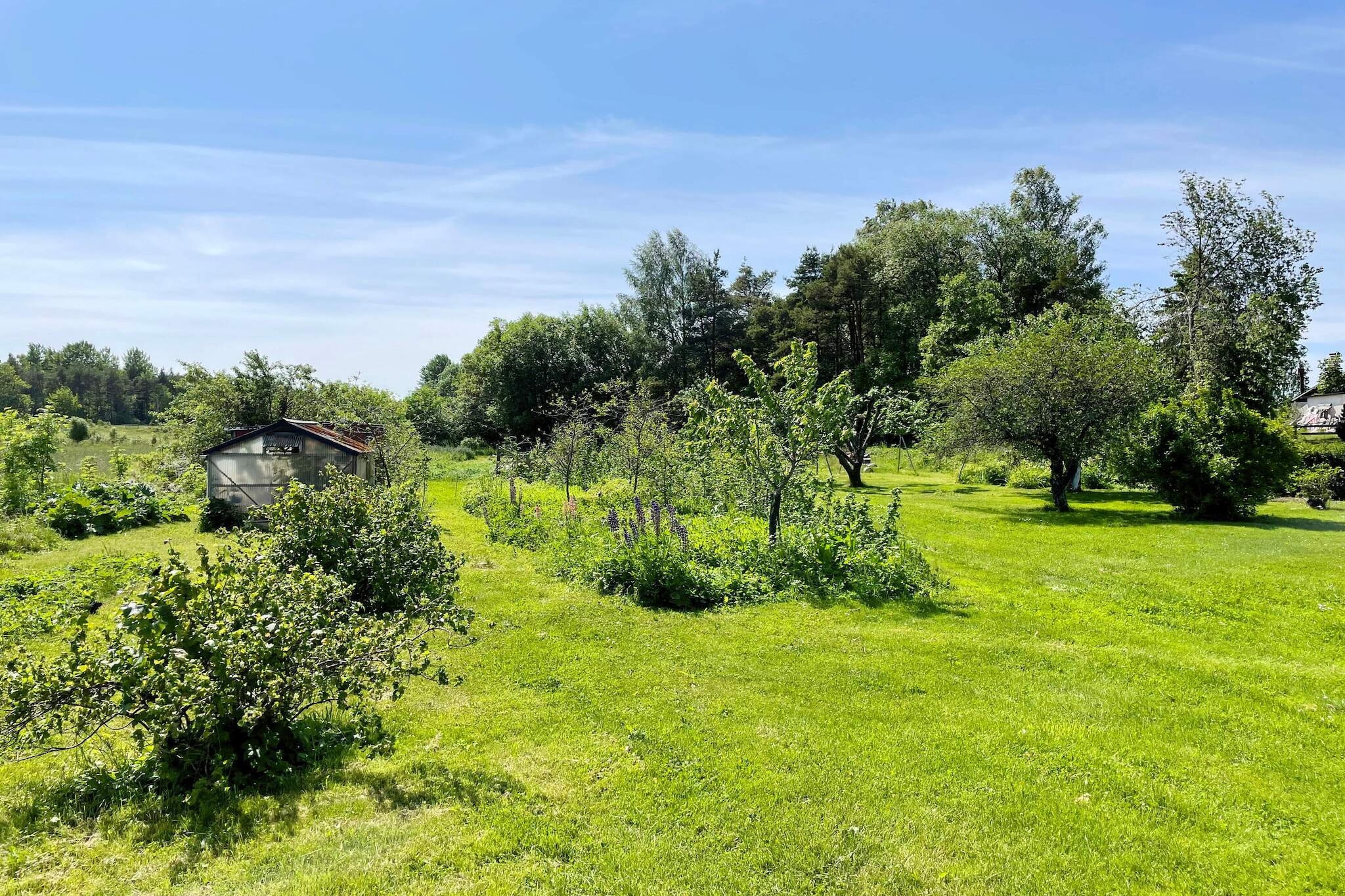 Charmant tuinhuisje in Levide-Buitenlucht
