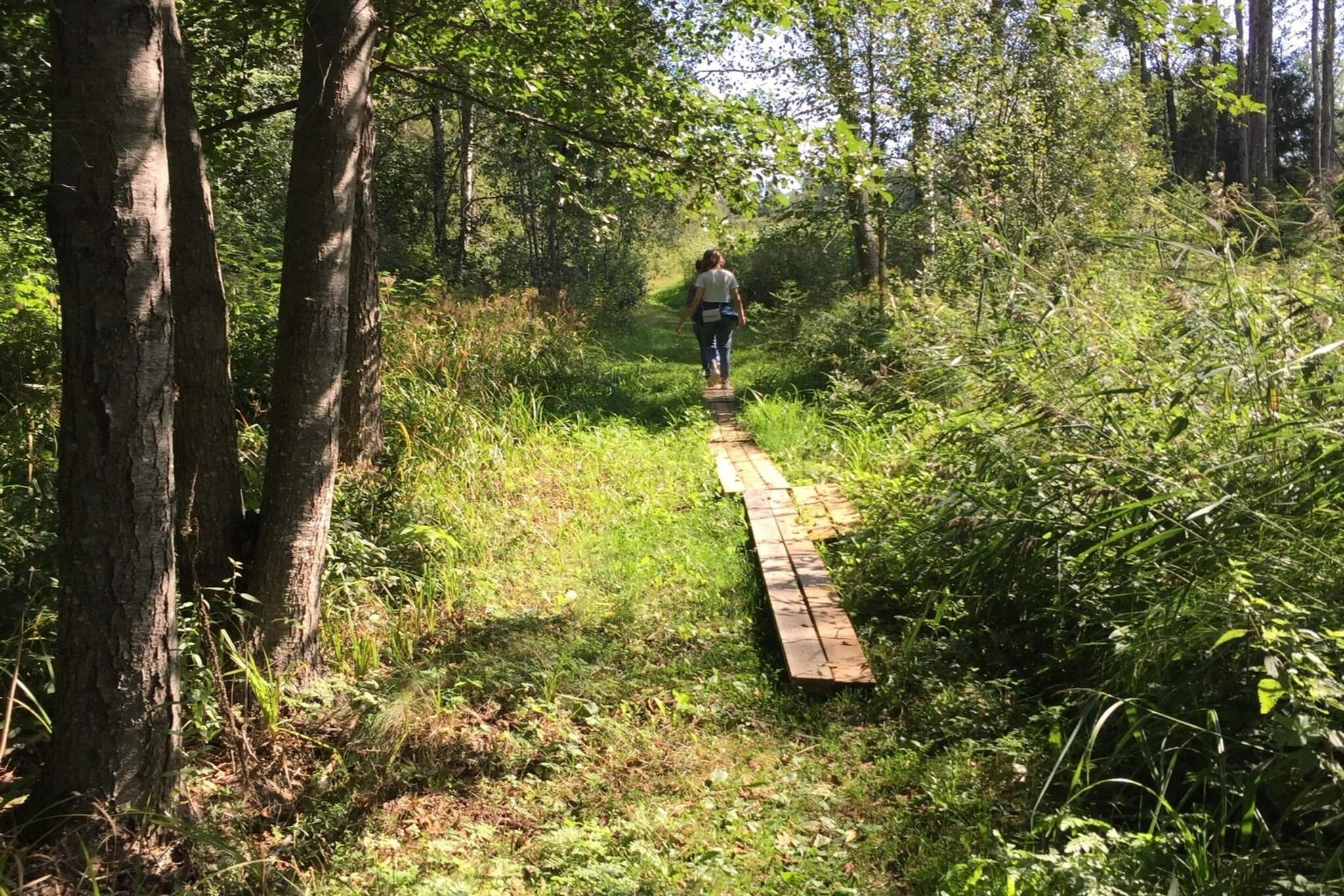 8 Personen vakantie huis in Ärla-Buitenlucht