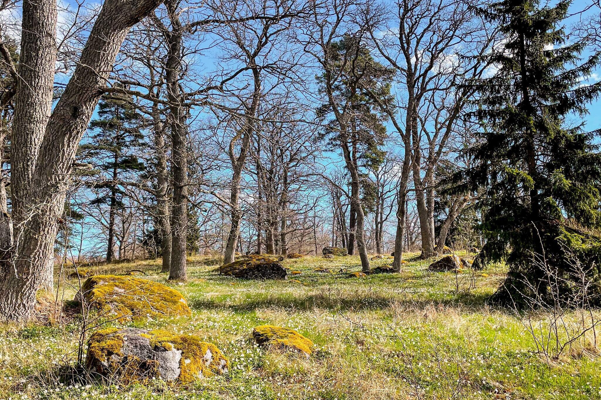 4 sterren vakantie huis in NORRTÄLJE-Niet-getagd