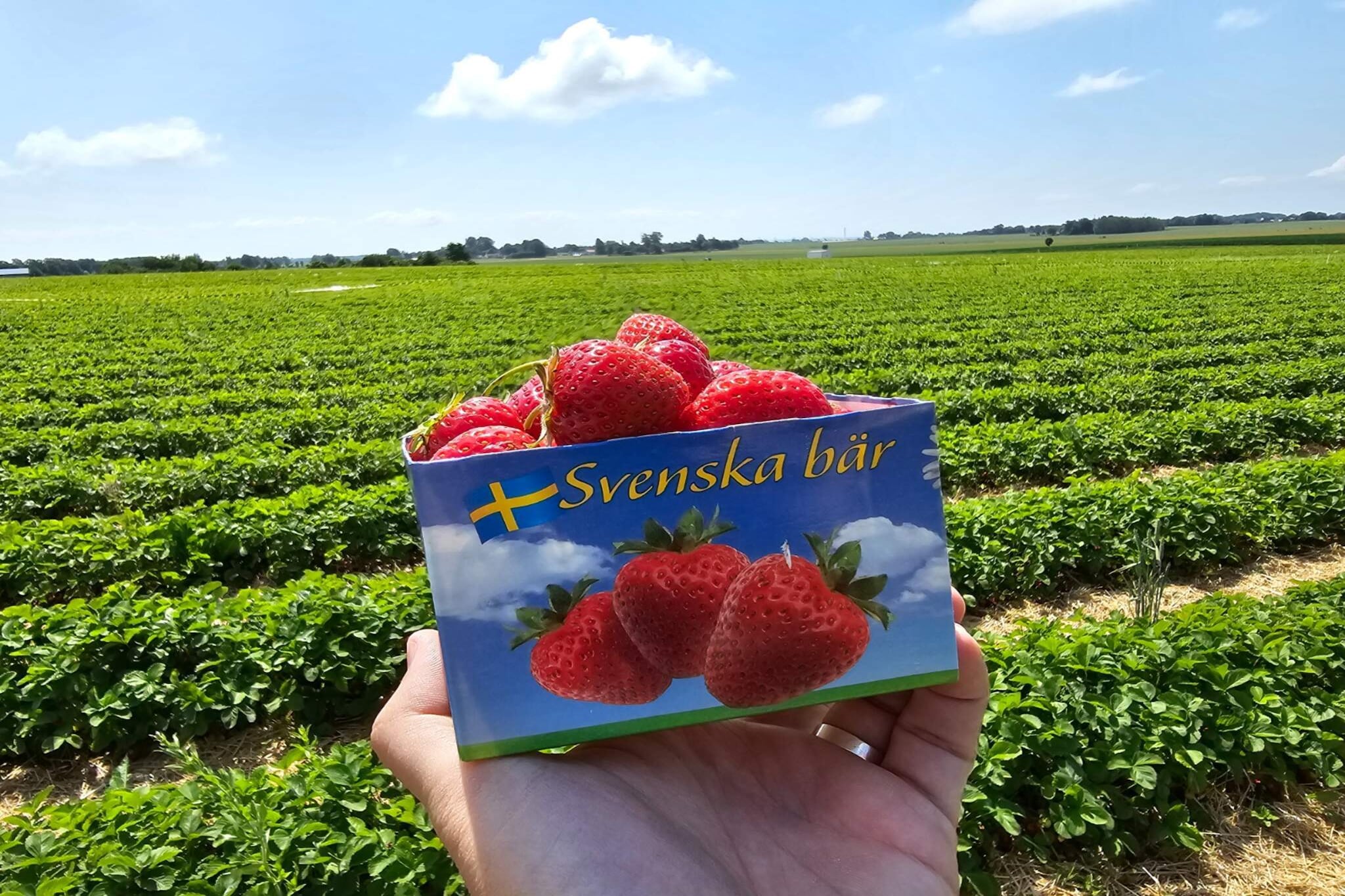Lägenhet med 2 sovrum-Extérieur