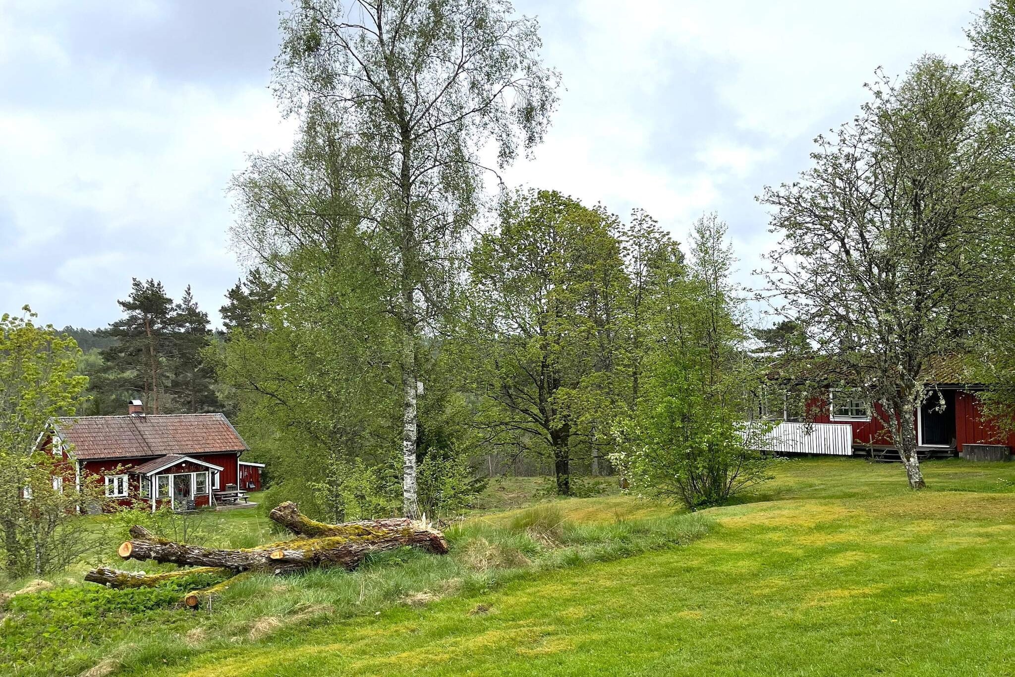 4 sterren vakantie huis in ED
