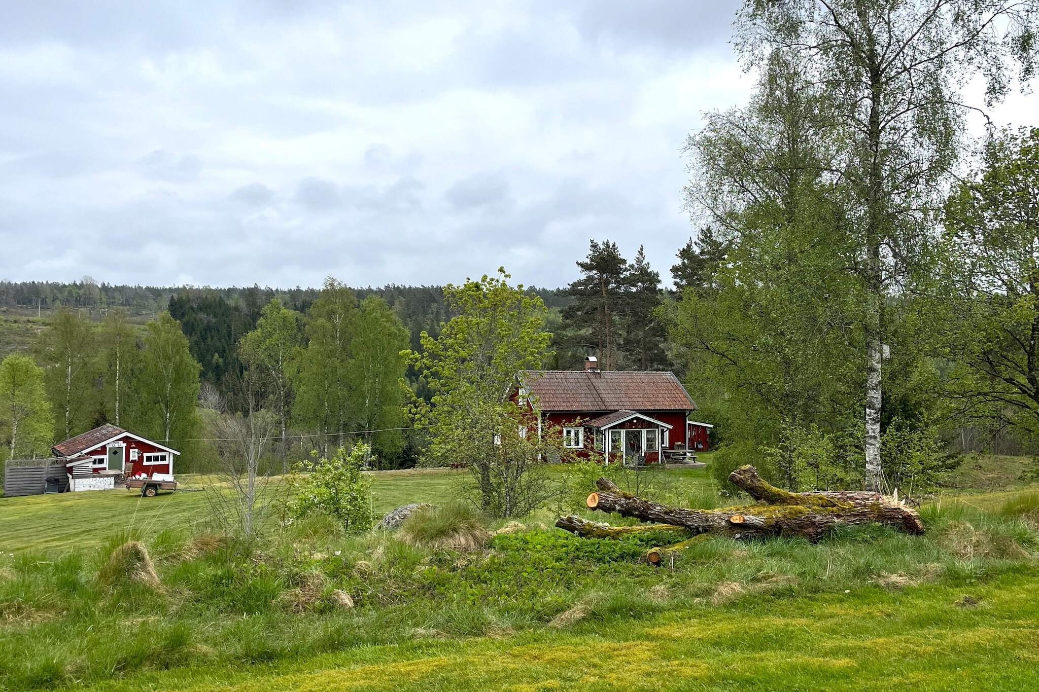 4 sterren vakantie huis in ED-Buitenlucht