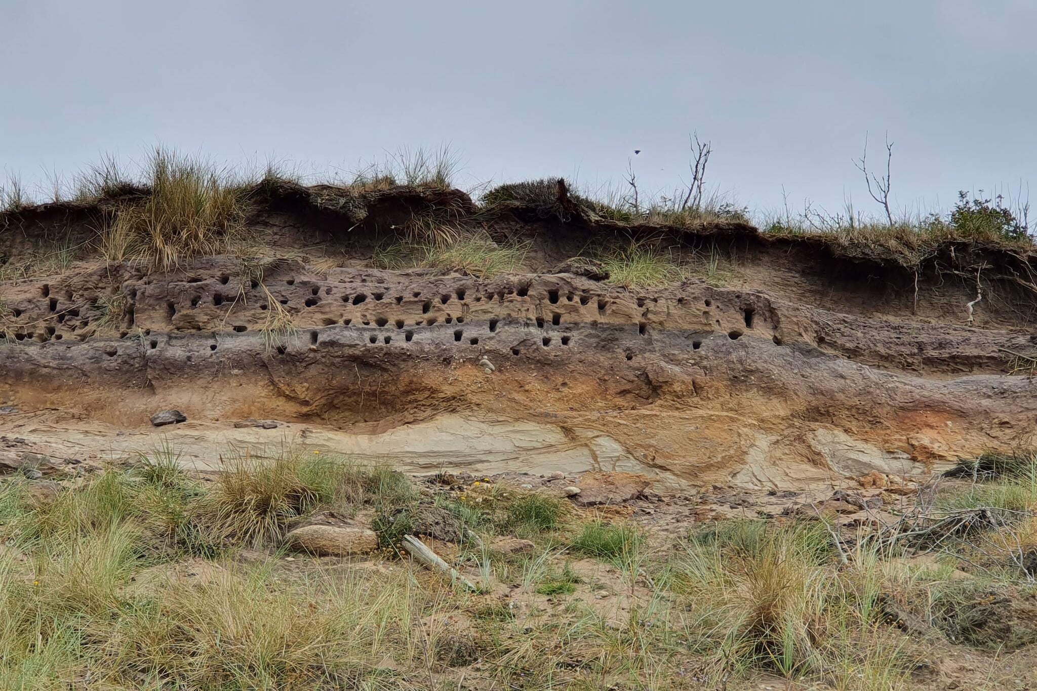 10 Personen vakantie huis in Spøttrup-Niet-getagd