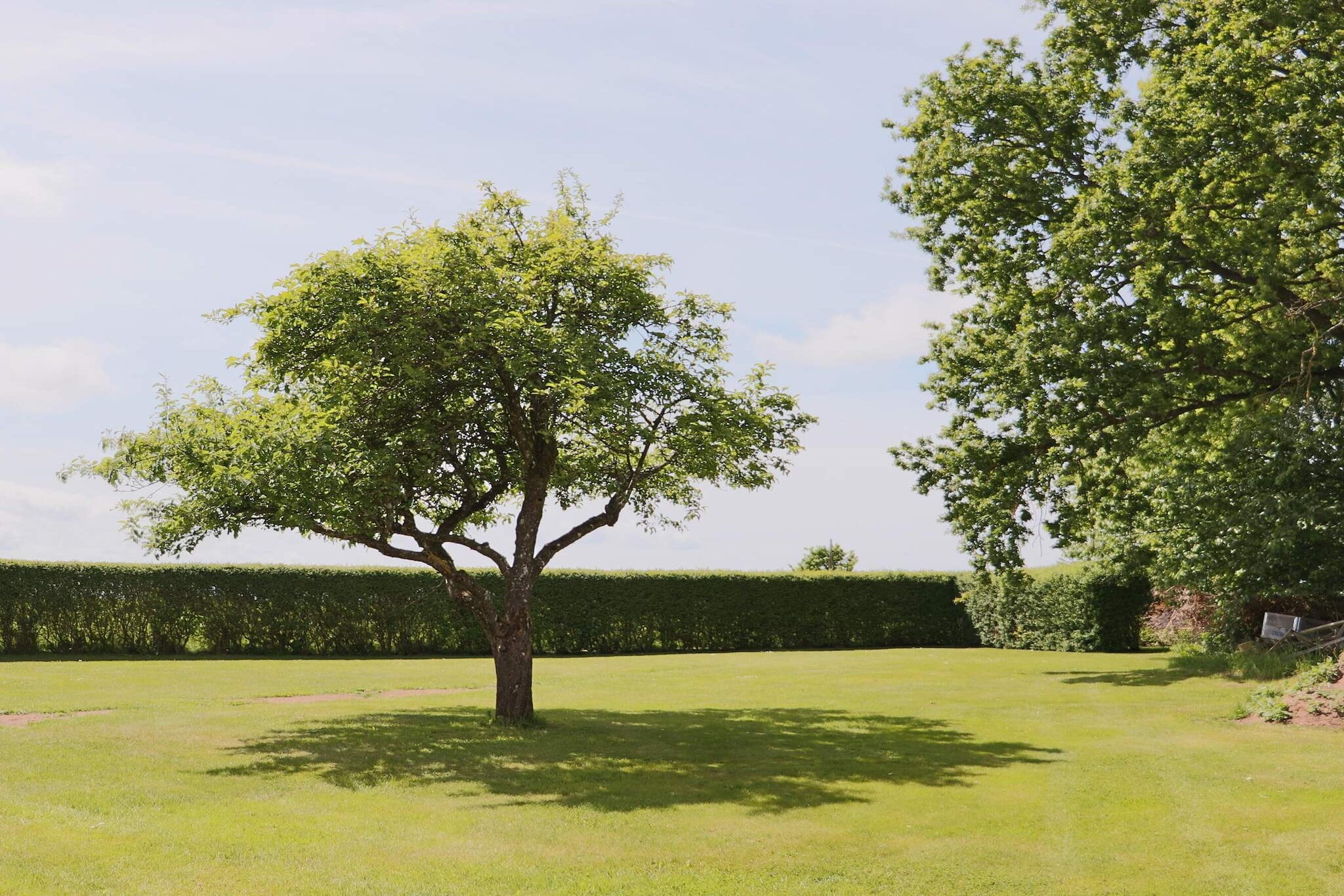 4 etoiles maison de vacances a Förslöv-Extérieur