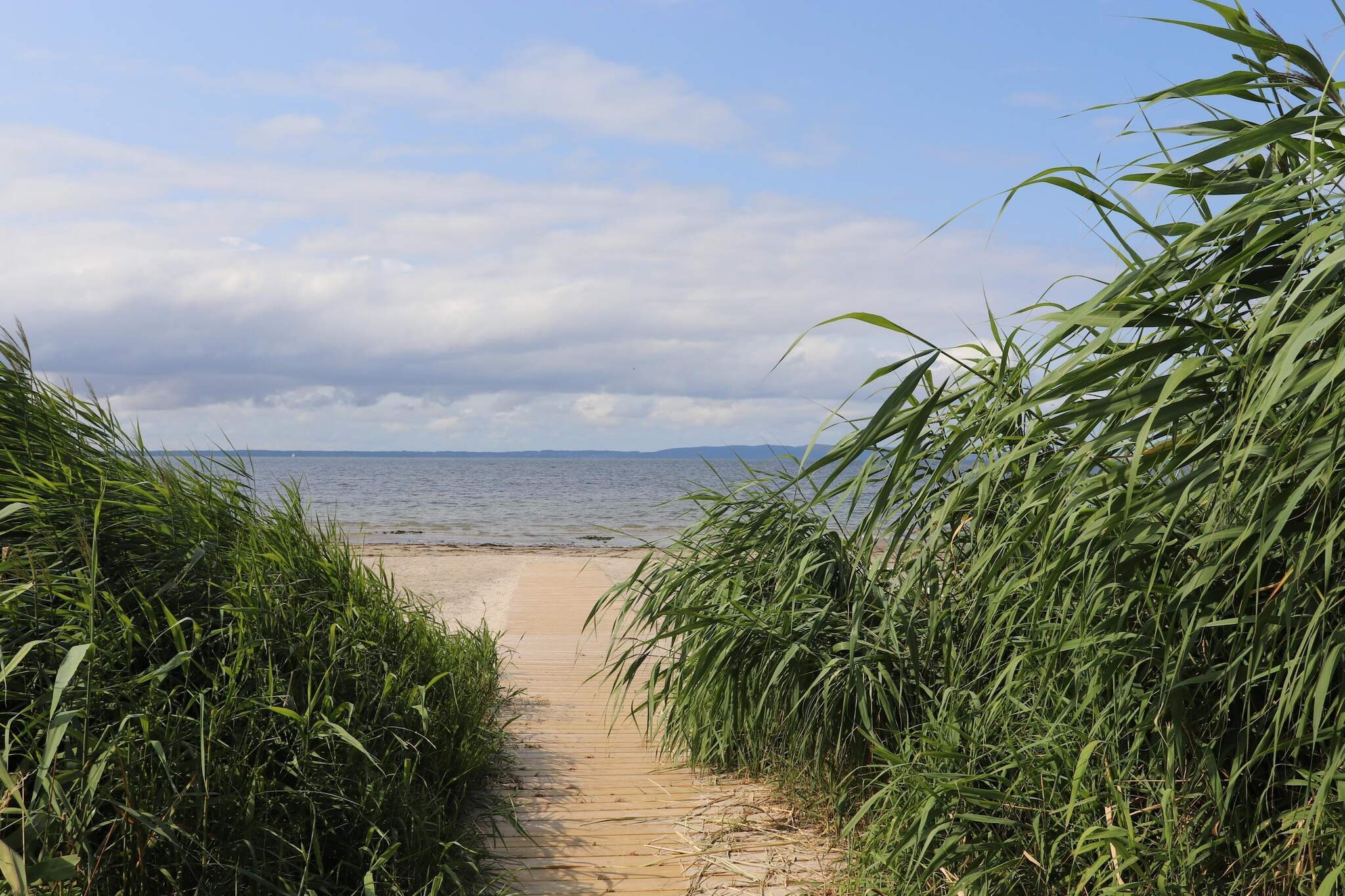 4 etoiles maison de vacances a Förslöv-Non étiqueté