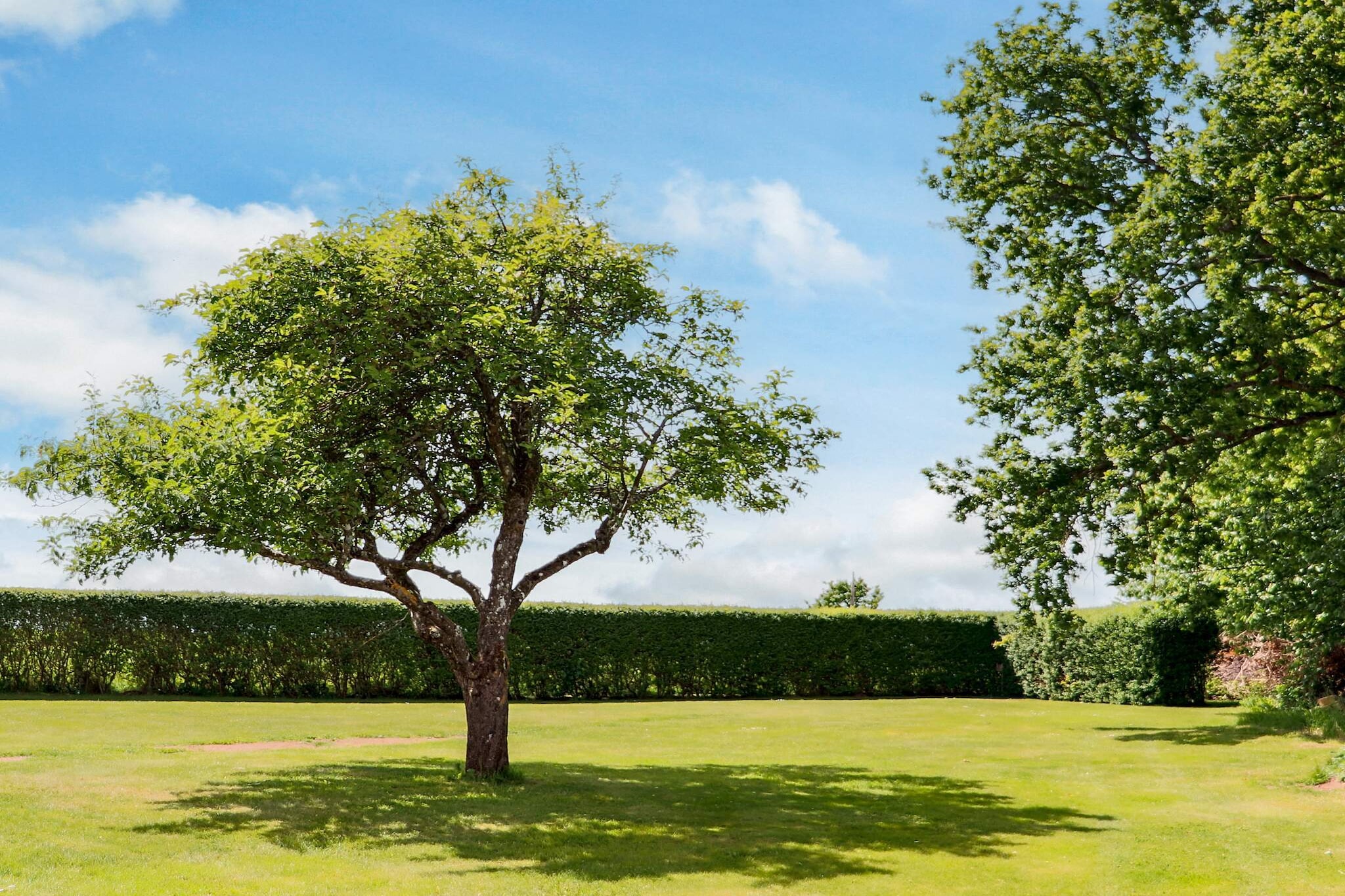 4 etoiles maison de vacances a Förslöv-Extérieur