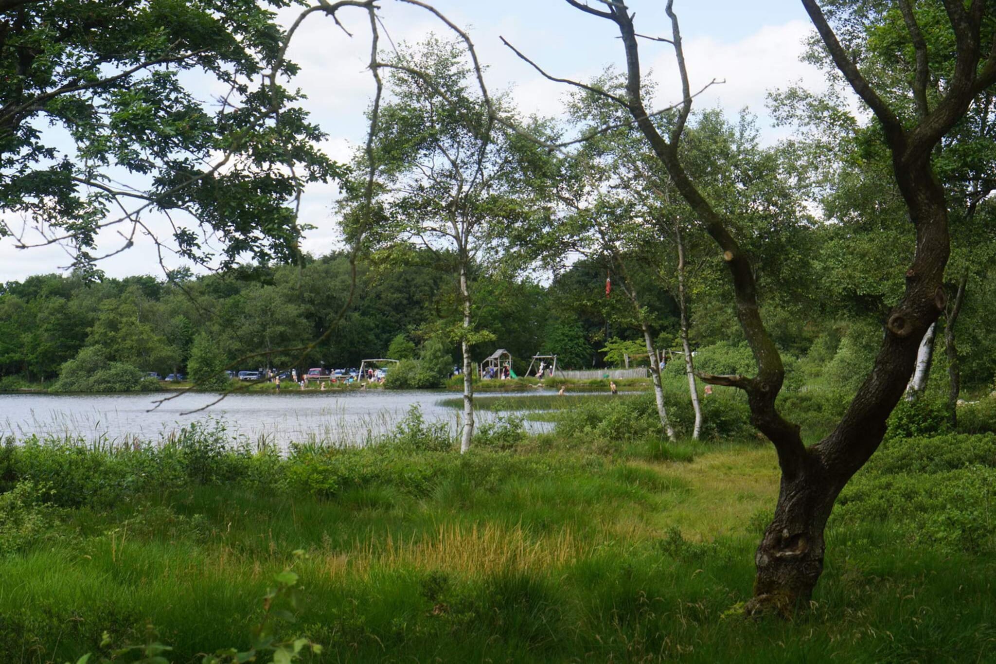 Water View