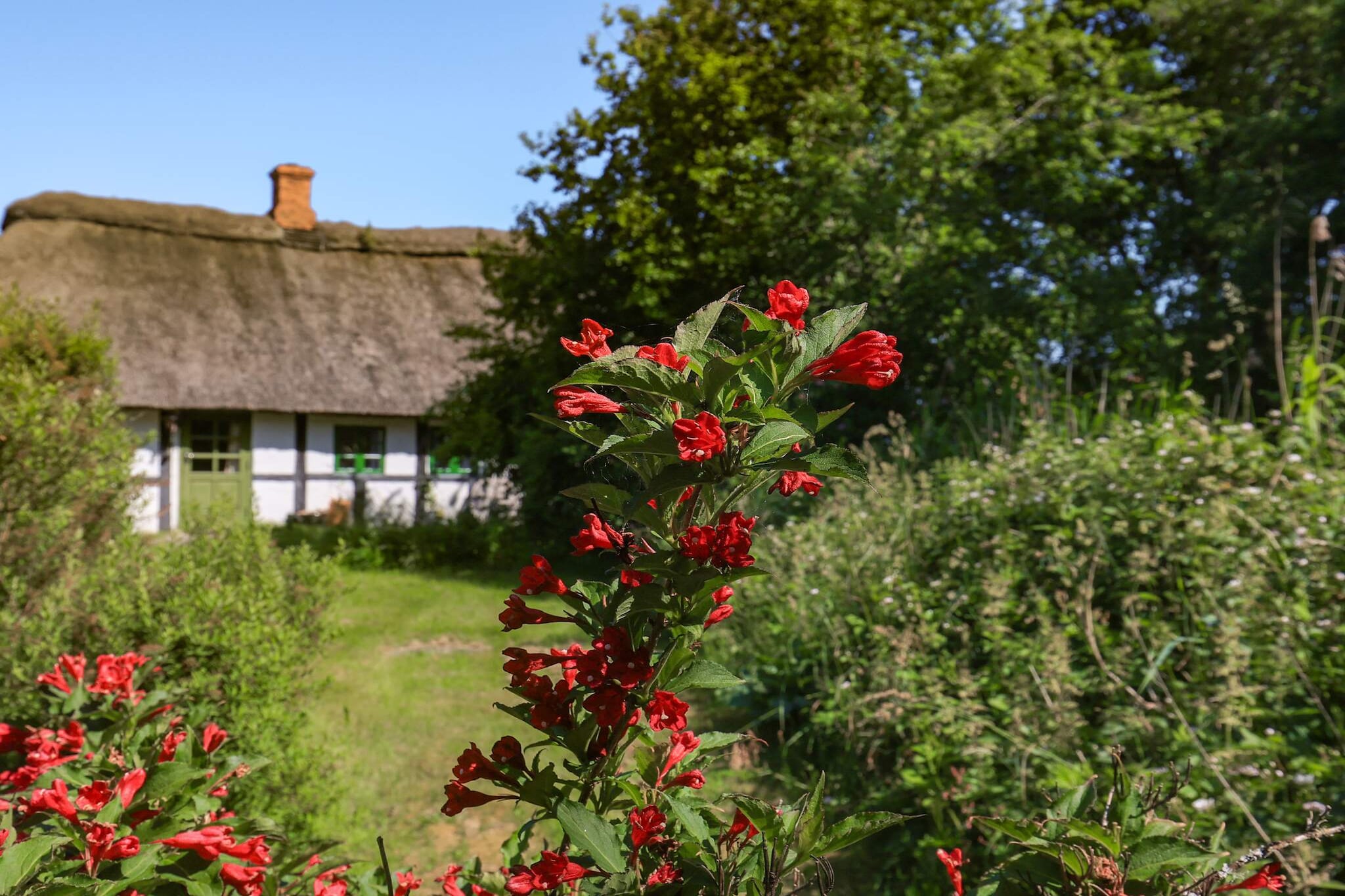6 Personen vakantie huis in Læsø-Uitzicht