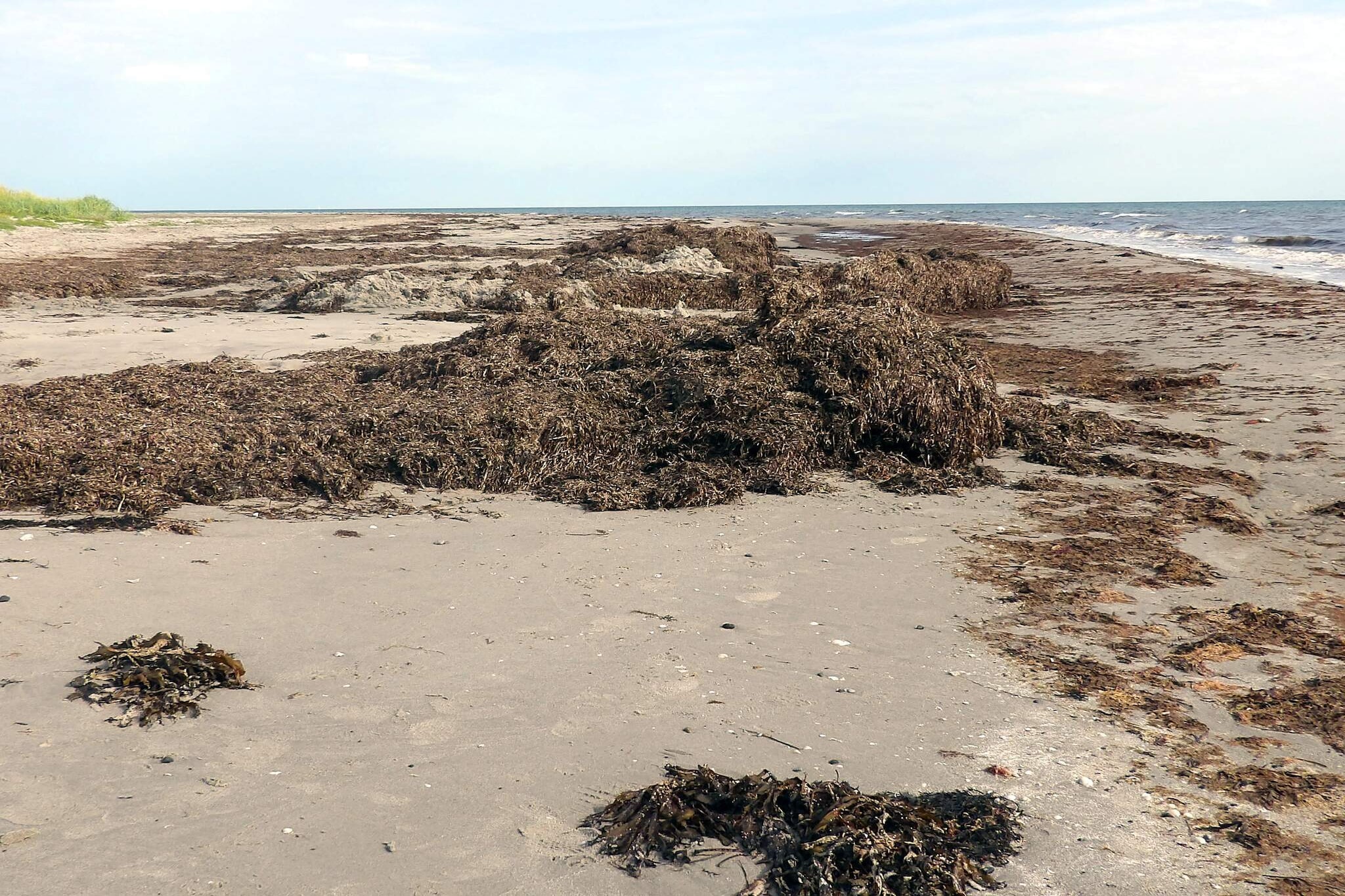 6 Personen vakantie huis in Læsø-Waterzicht