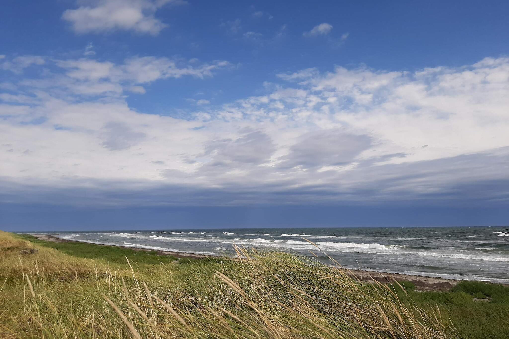 6 Personen vakantie huis in Læsø-Waterzicht