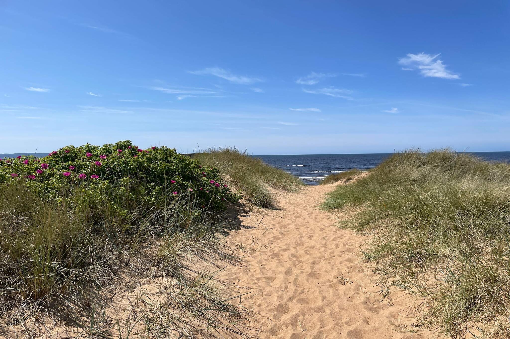 5 sterren vakantie huis in MELLBYSTRAND-Niet-getagd
