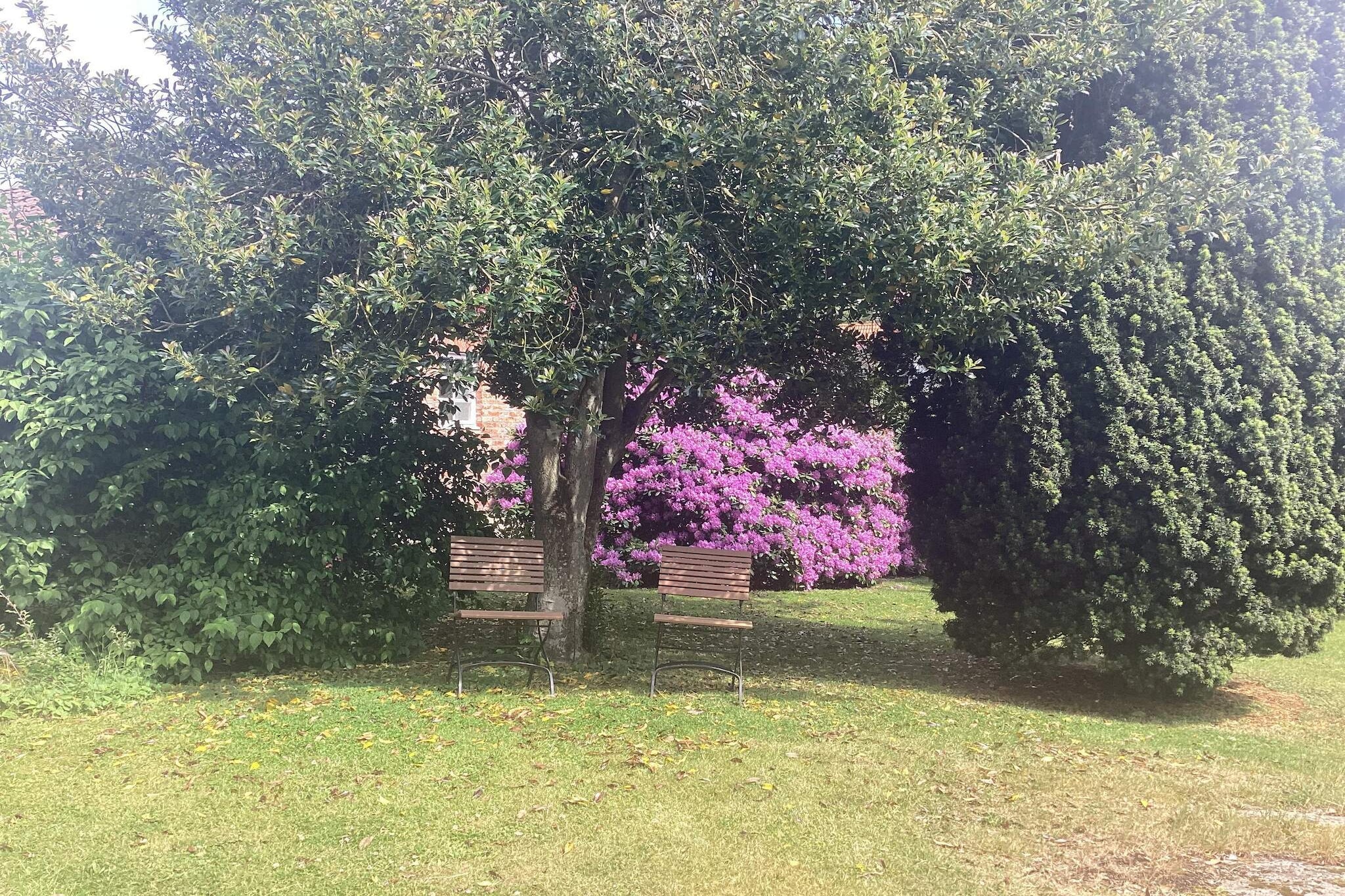 4 person holiday home in STENINGE-Outdoor