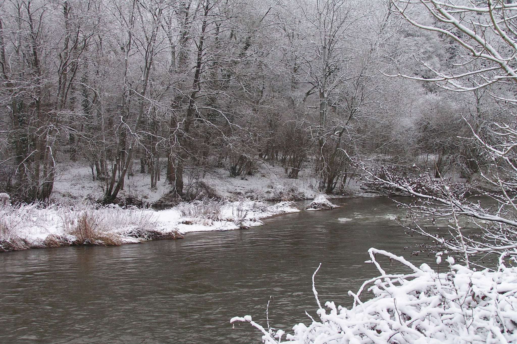 Domaine De L'Ecureuil 4-Gebied winter 1km