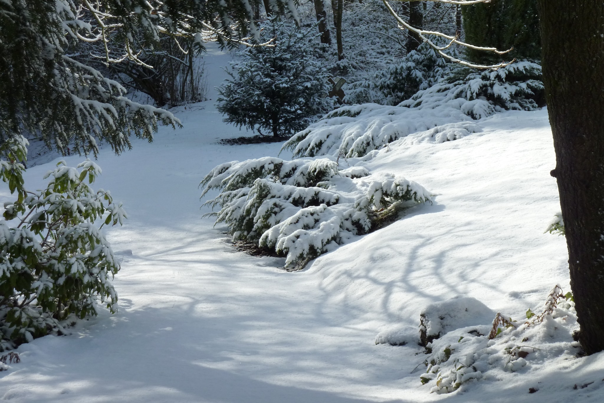 Domaine De L'Ecureuil 4-Tuin winter