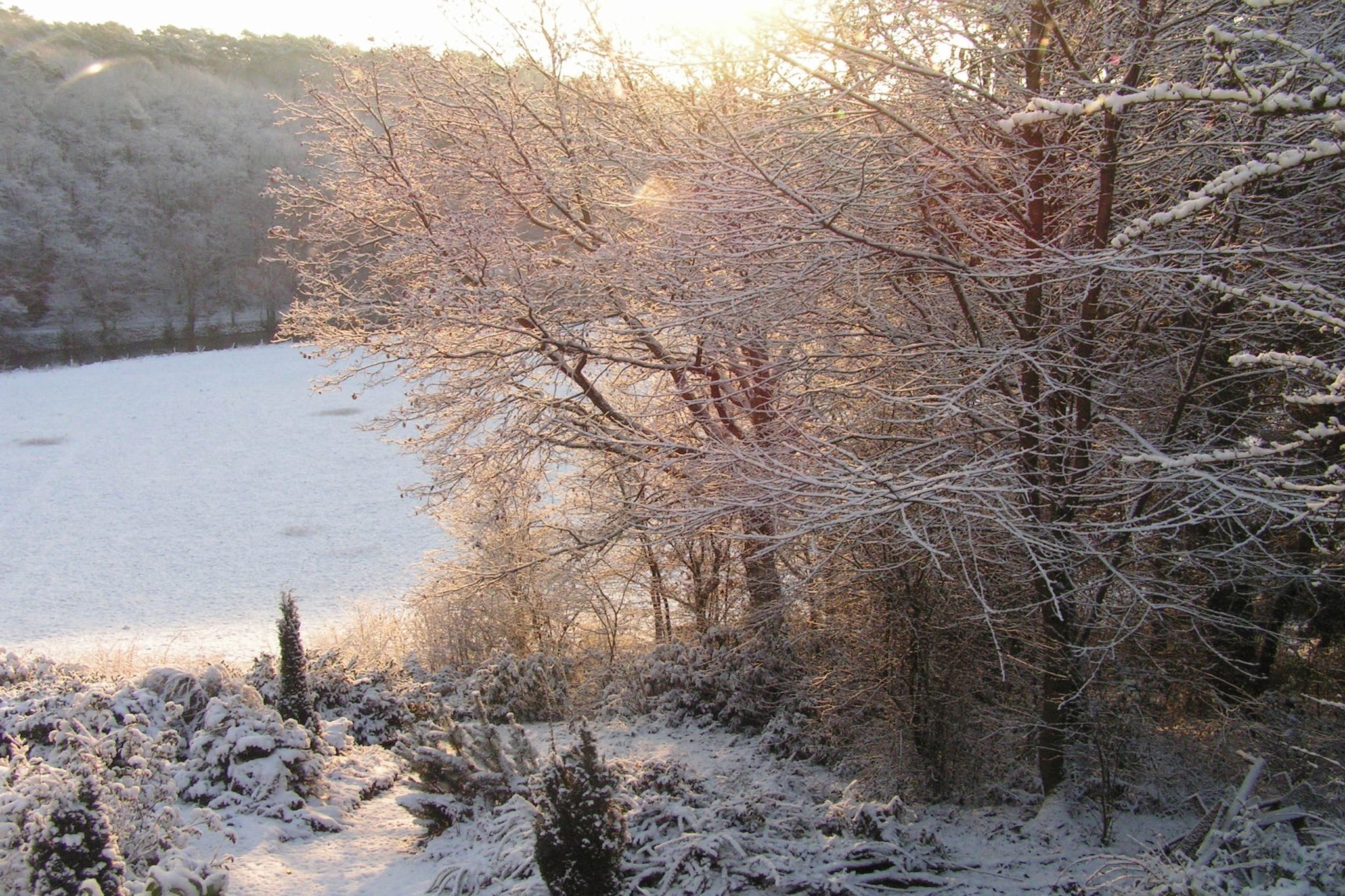 Domaine De L'Ecureuil 4 - Area within 5km in winter