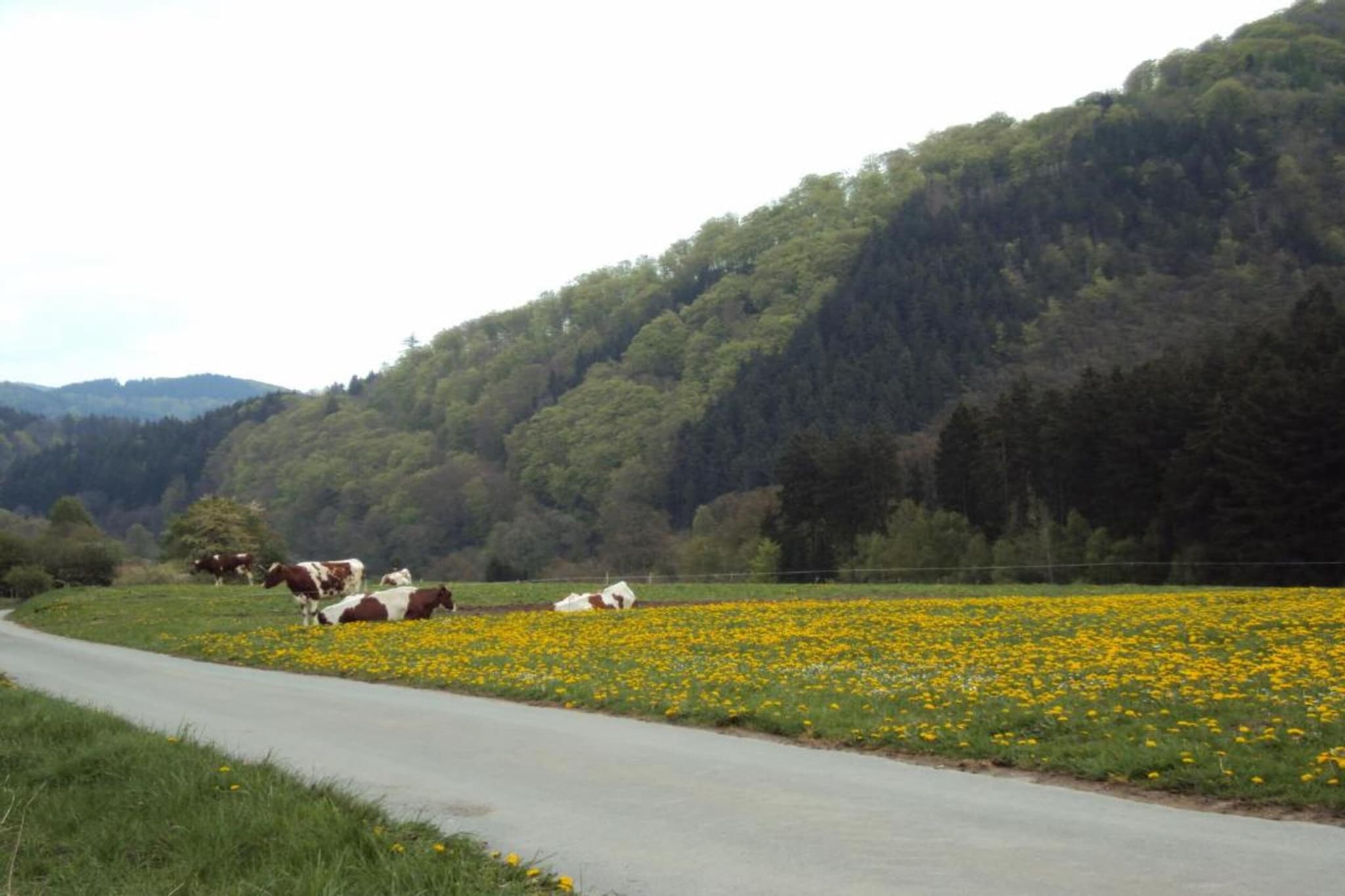 Am Weiher-Areas summer 5km