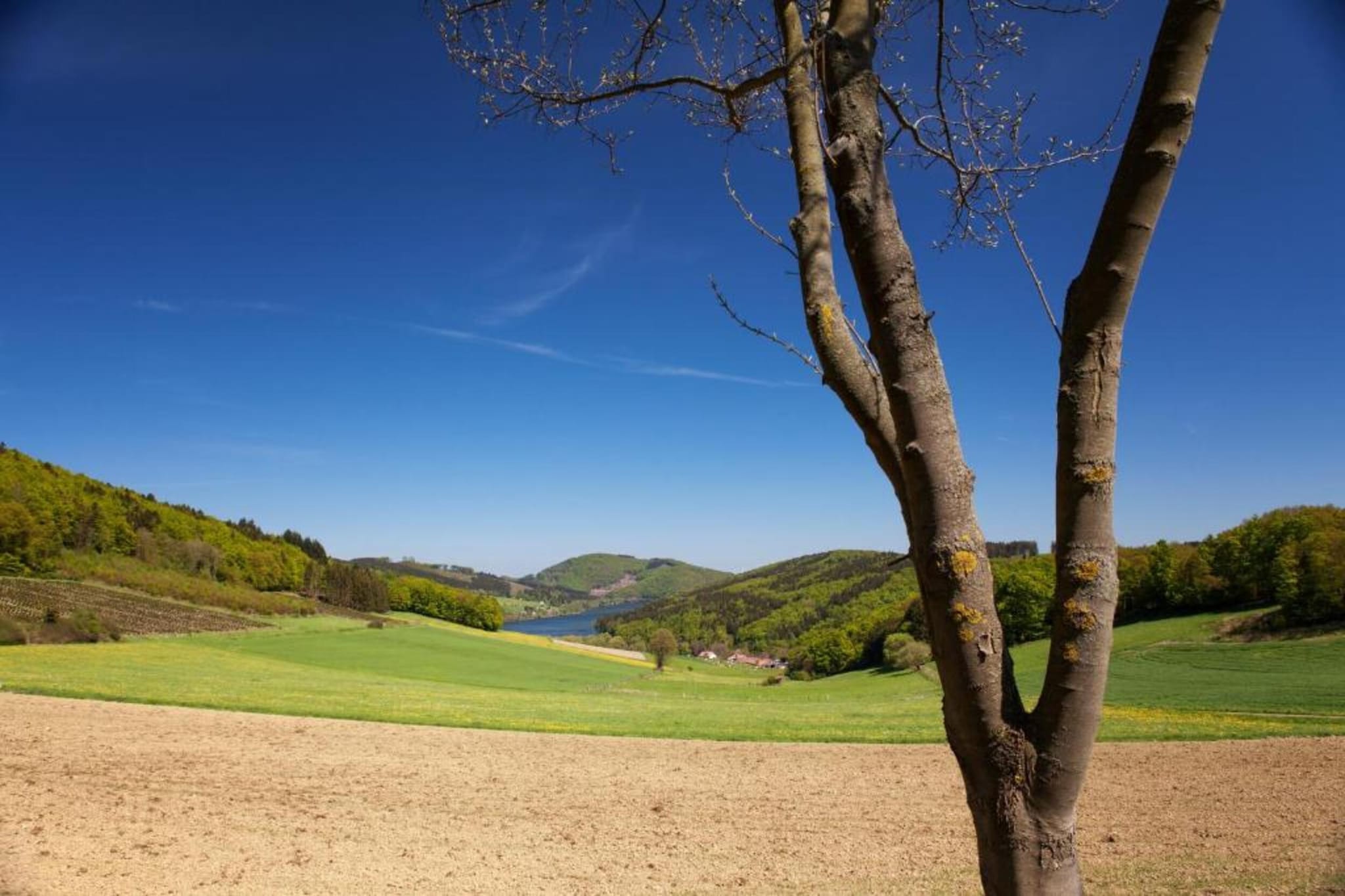 Am Weiher-Areas summer 5km