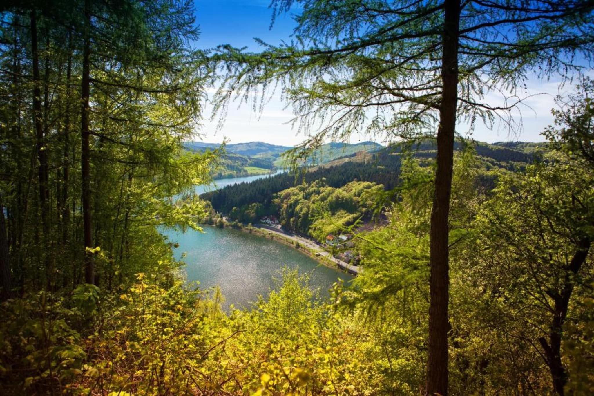 Am Weiher