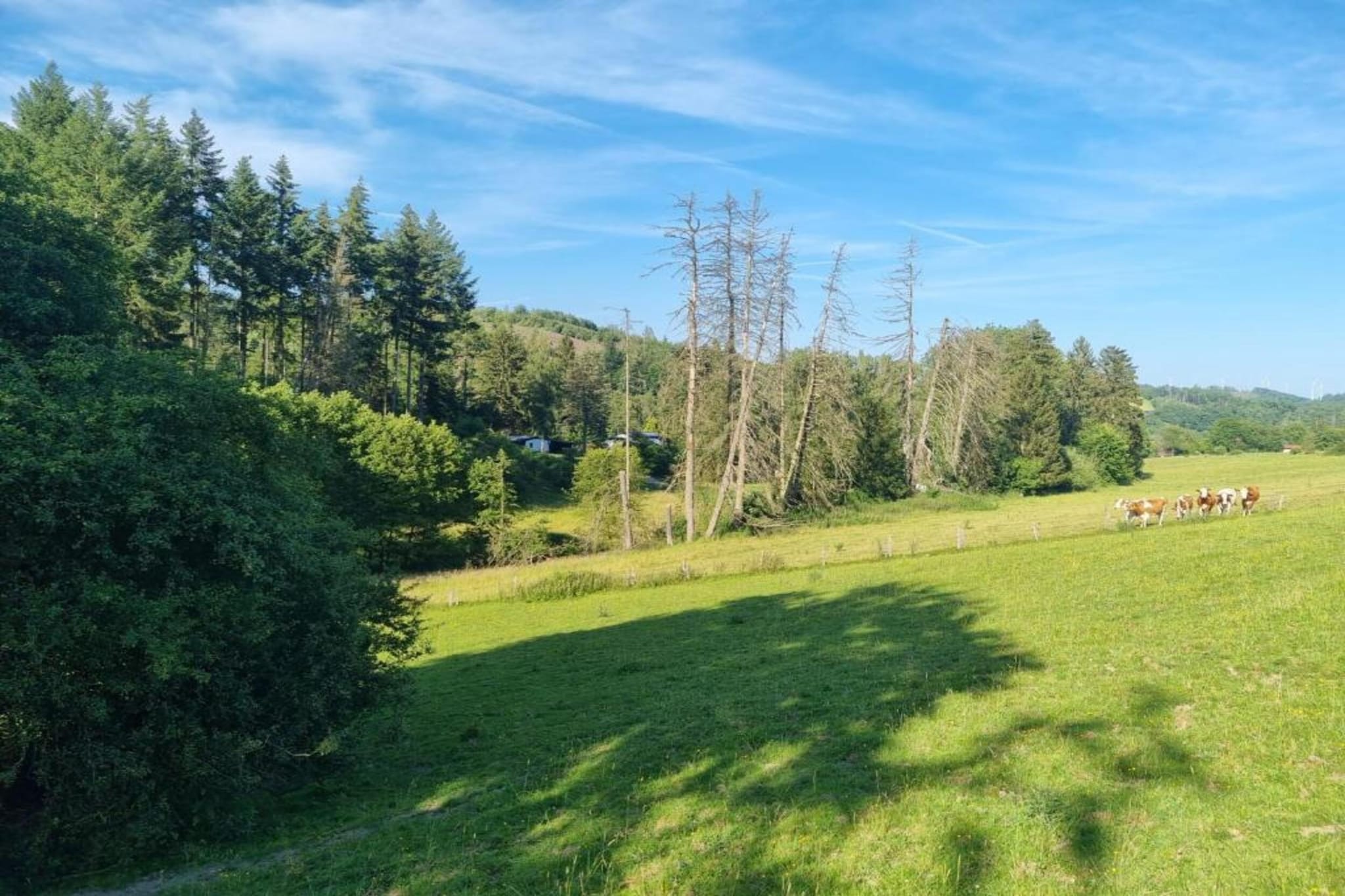Am Weiher-Areas summer 5km