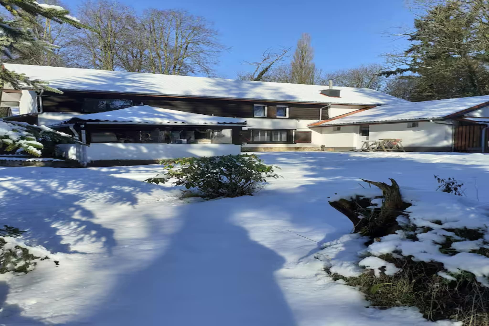 L'Ecureuil Blanc-Extérieur hiver