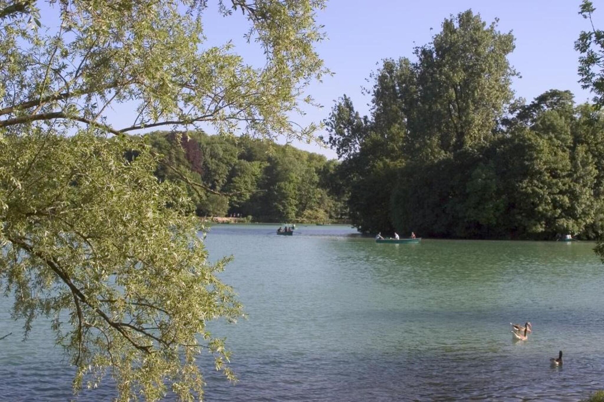 BP-58-SUCHET-Gebieden zomer 5km
