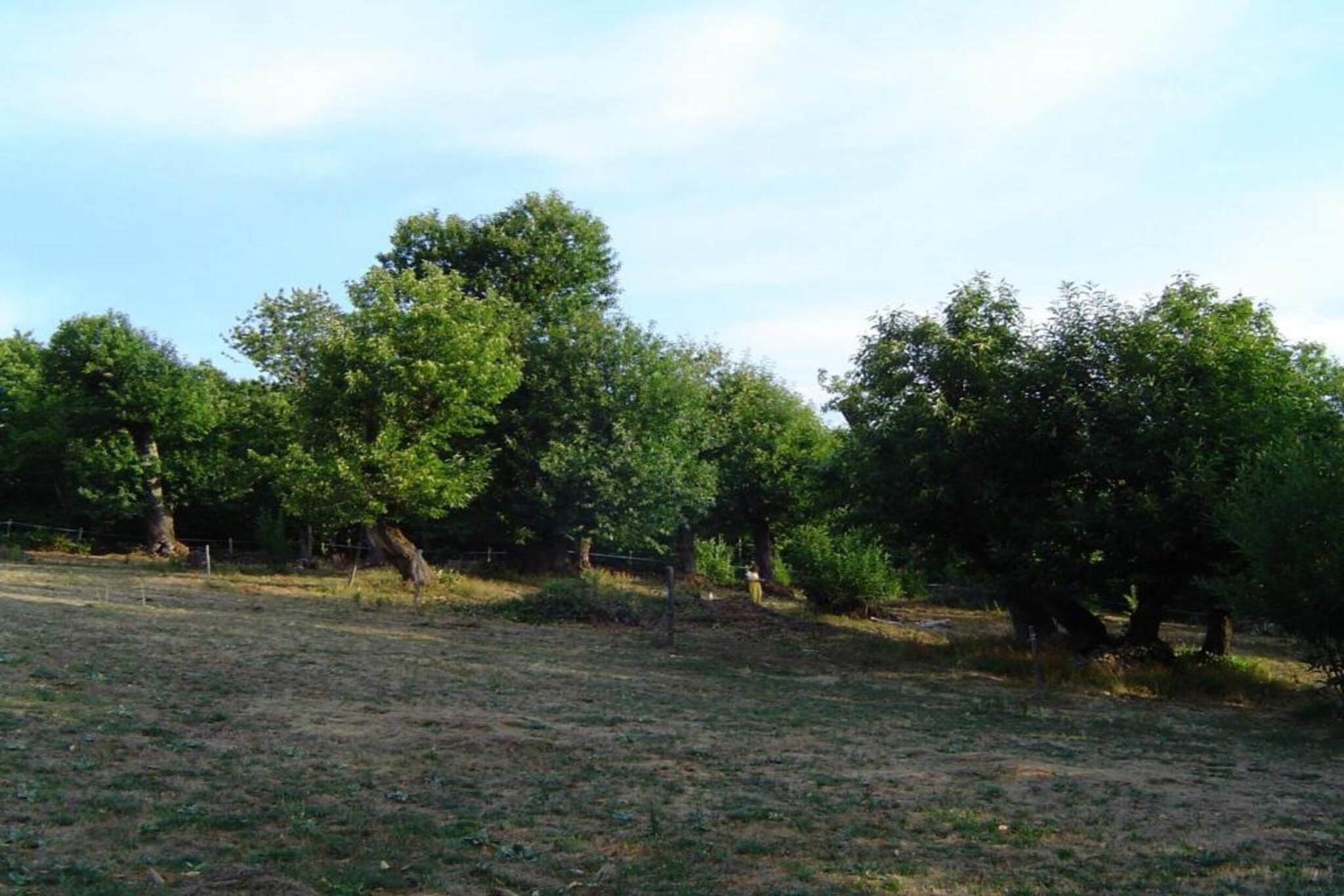 La Chataigne-Gebieden zomer 5km