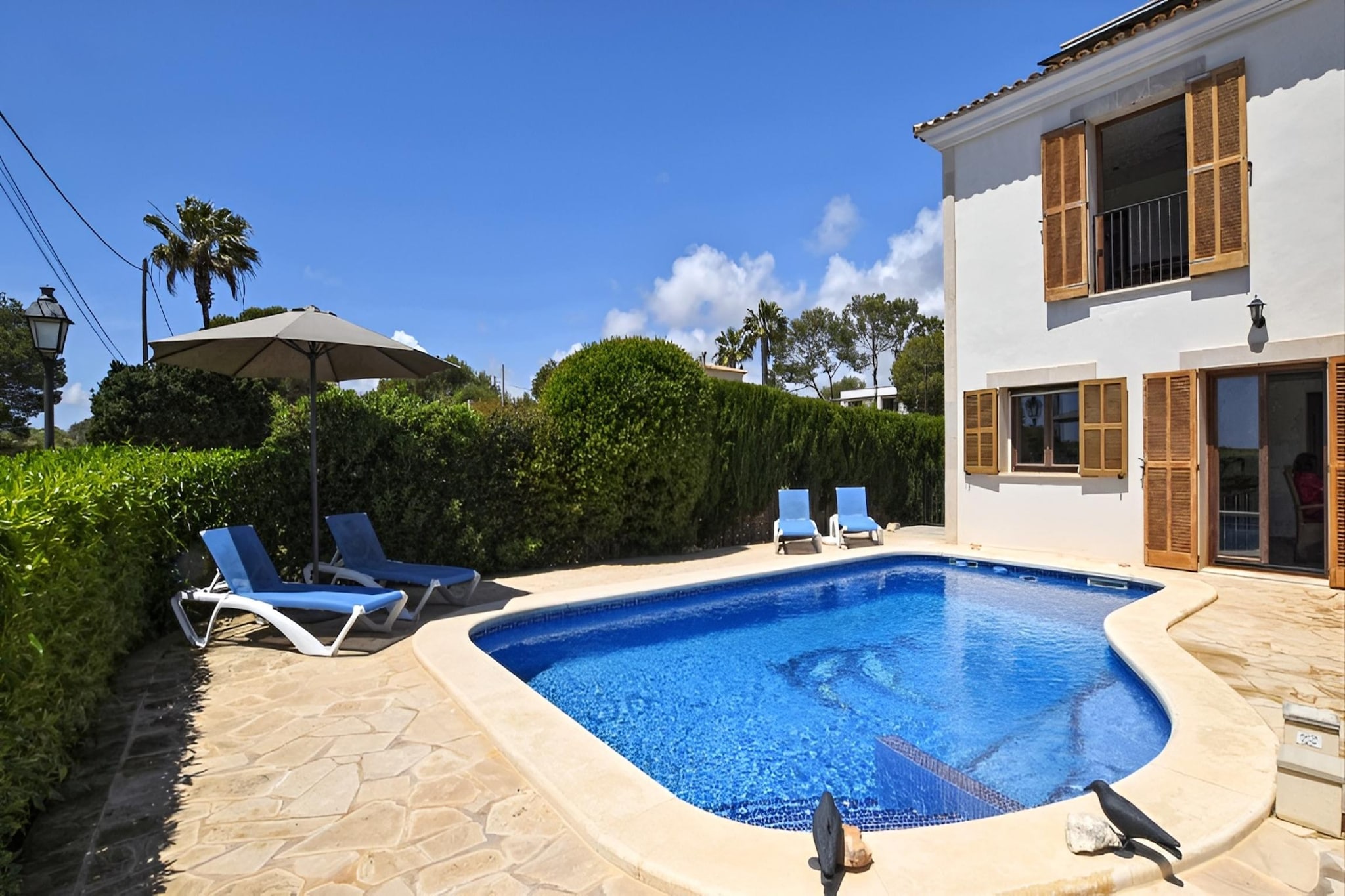 Amador-Pool