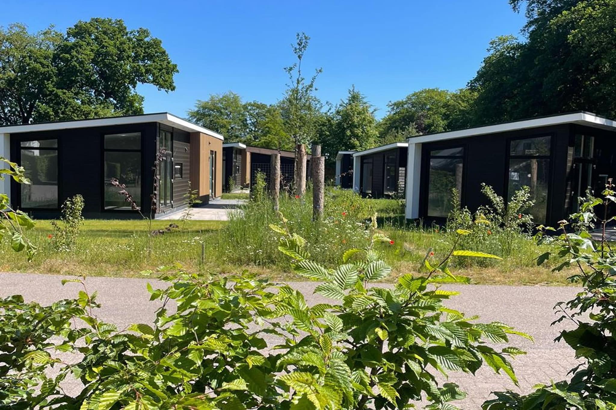 Yn 't Bosk 12-Buitenkant zomer