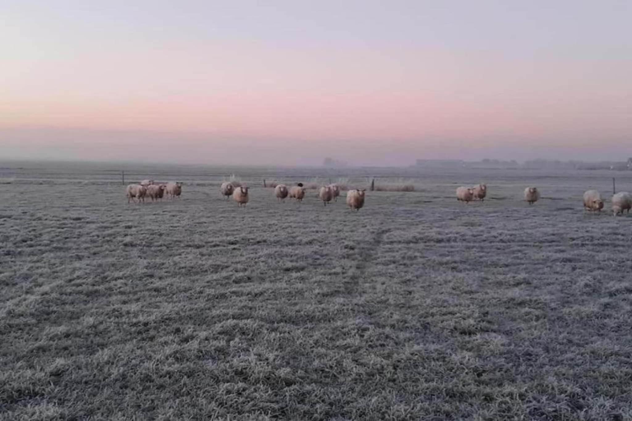 Yn 't Bosk 14-Gebiete Sommer 20 km