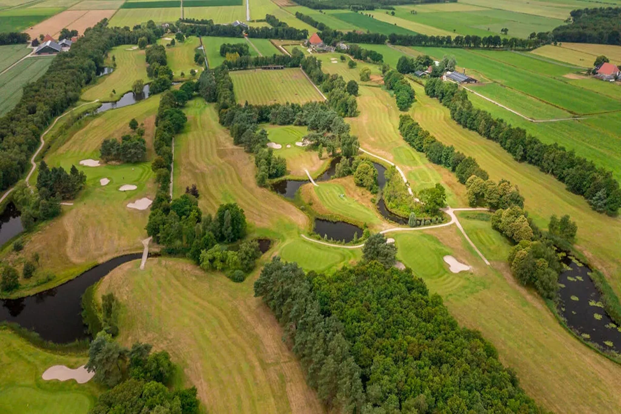 Yn't Bosk 10-Gebiete Sommer 5 km