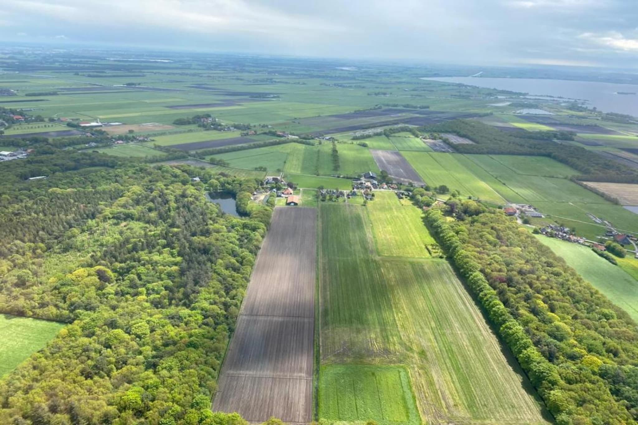 Yn't Bosk 10-Gebiete Sommer 20 km
