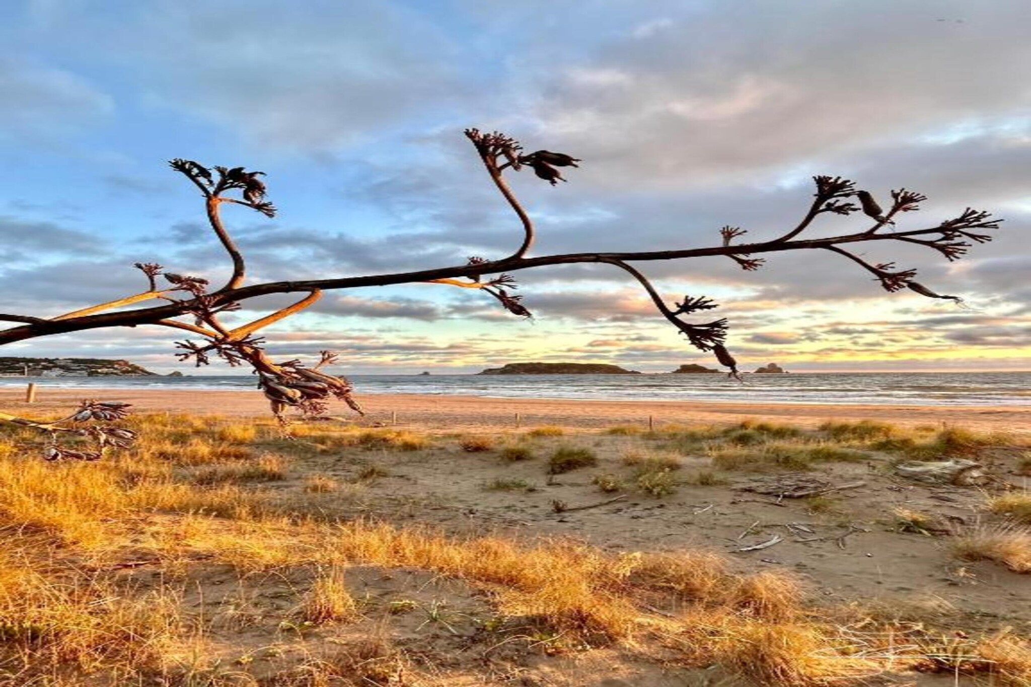 BELL RACO B 25-Gebieden zomer 5km