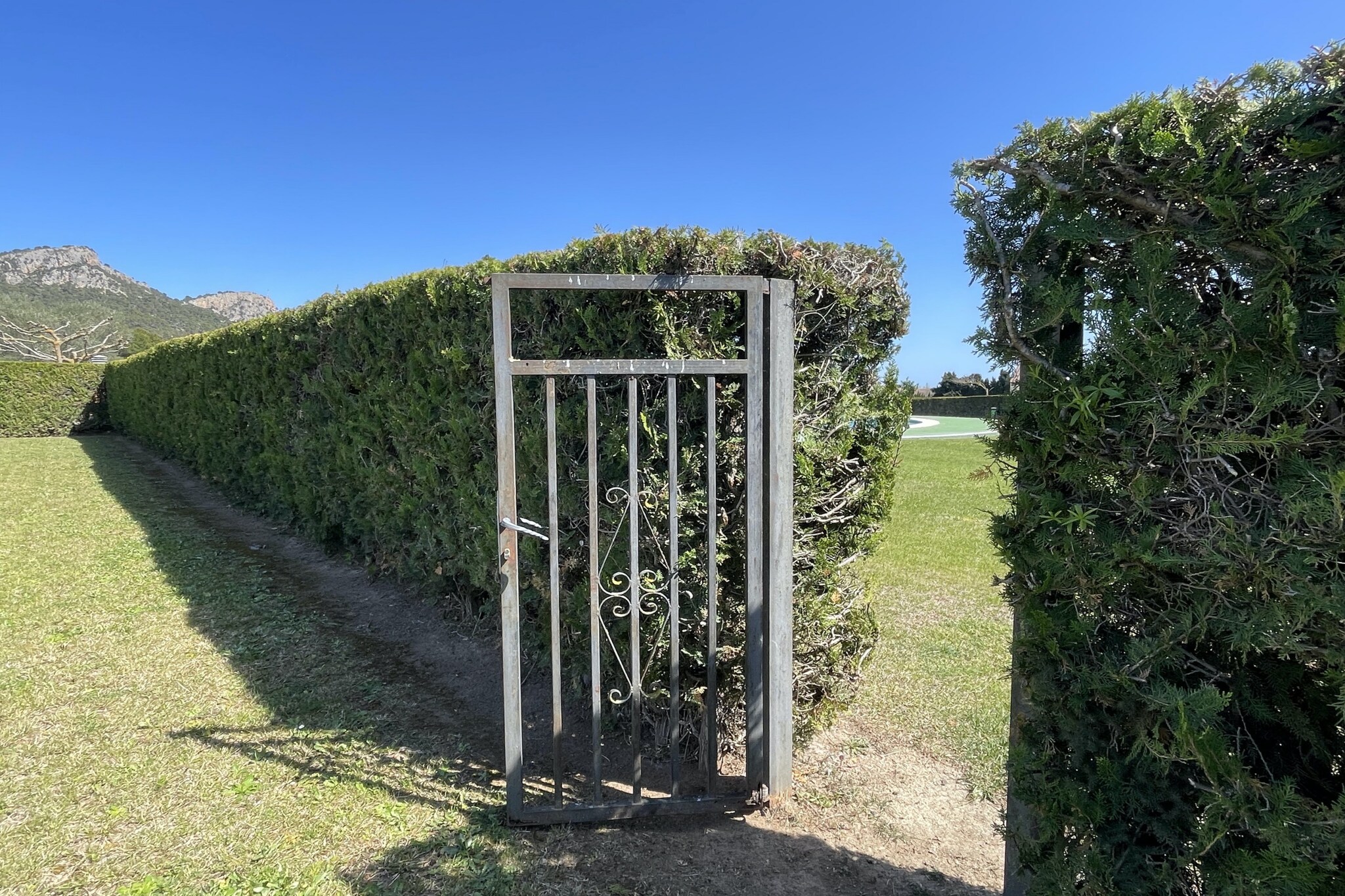 BELL RACO B 25-Gebieden zomer 1km