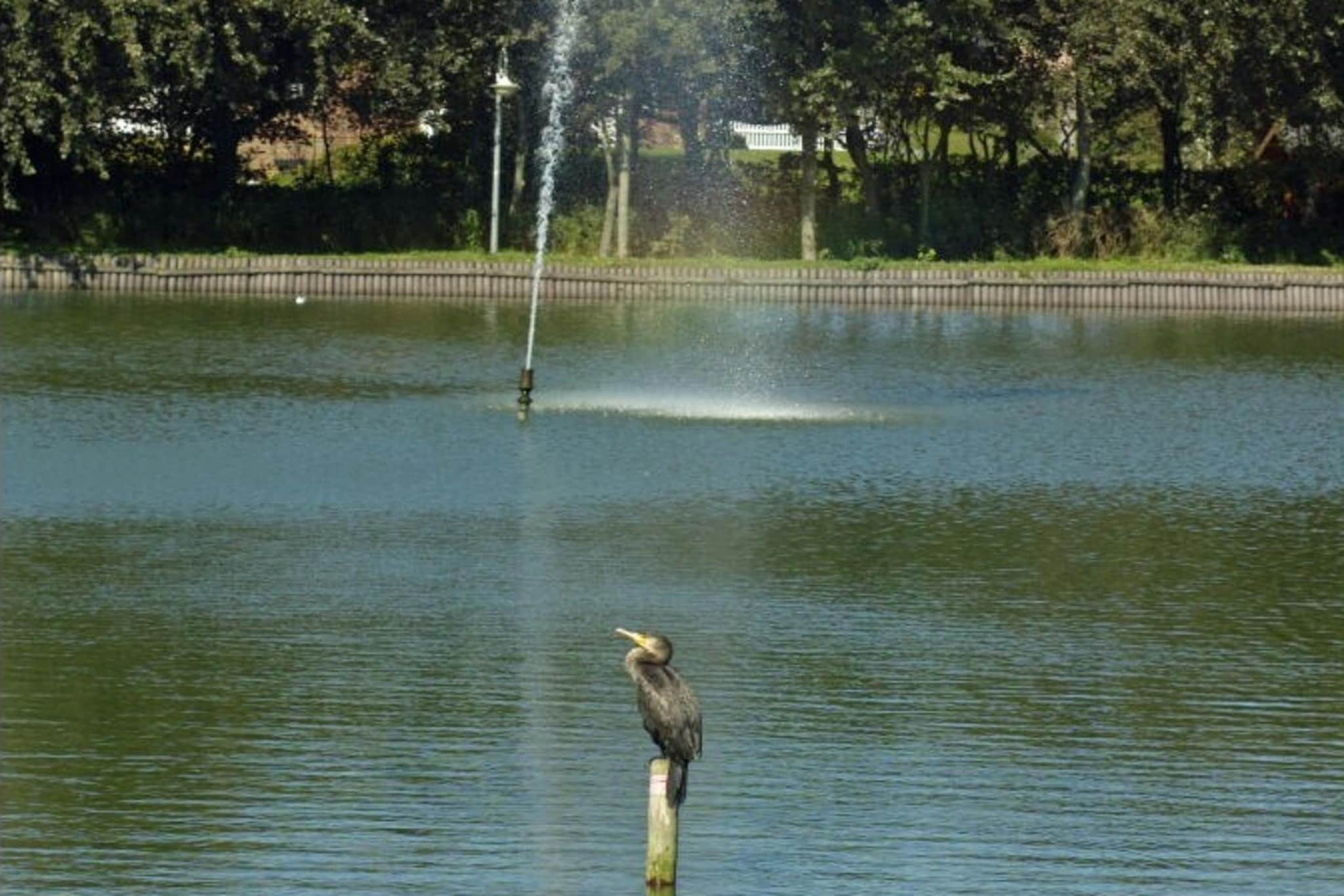 72282-Image-tags.water view