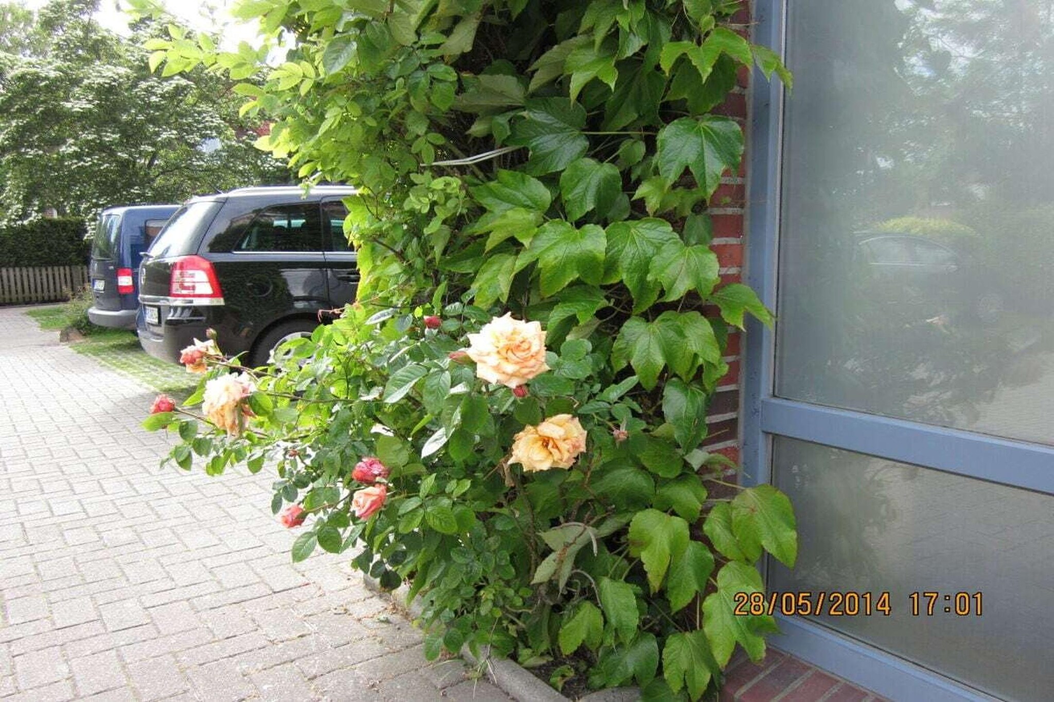 90280-Jardins en été