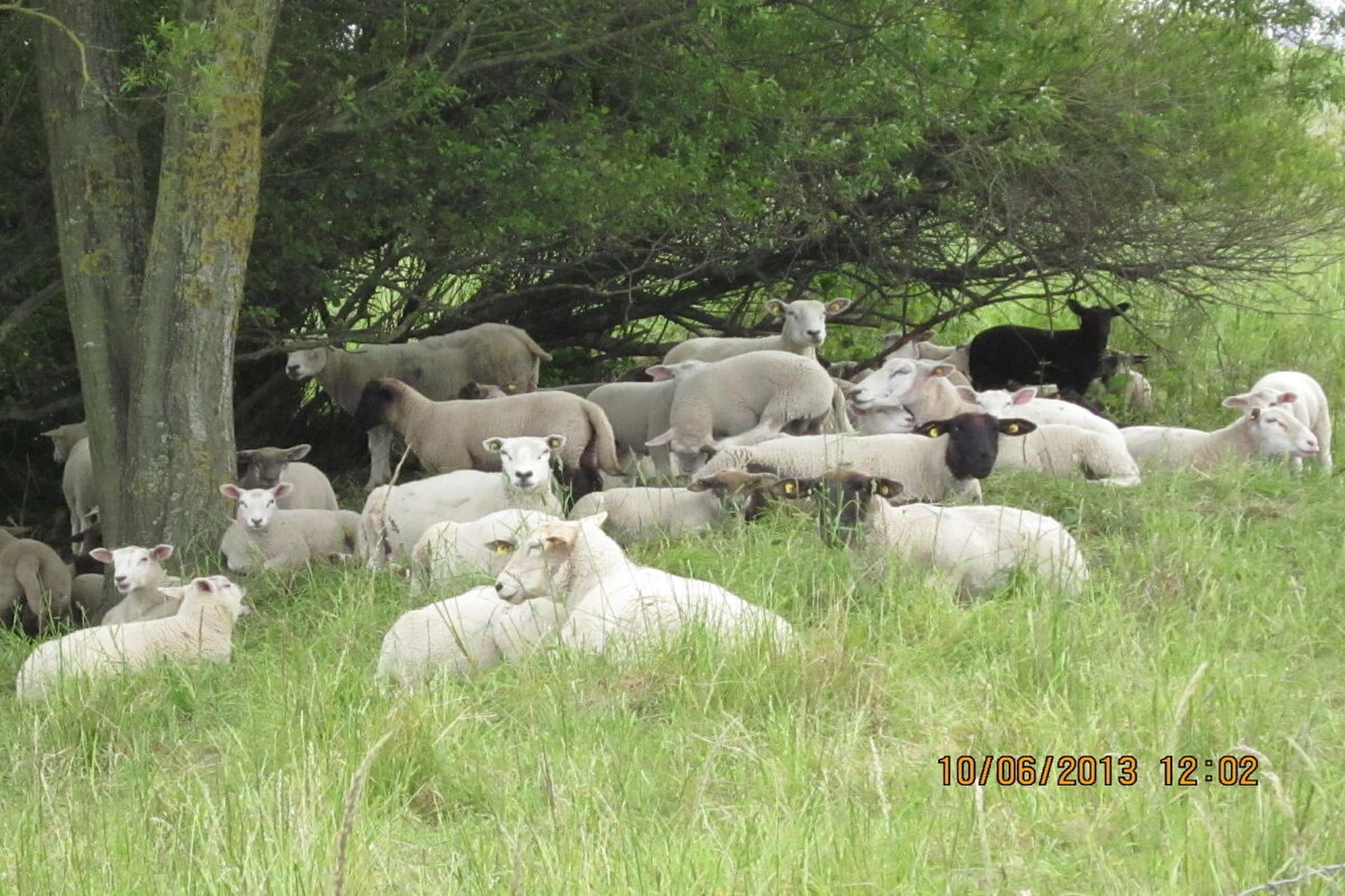 90280-Zones été à 5 km