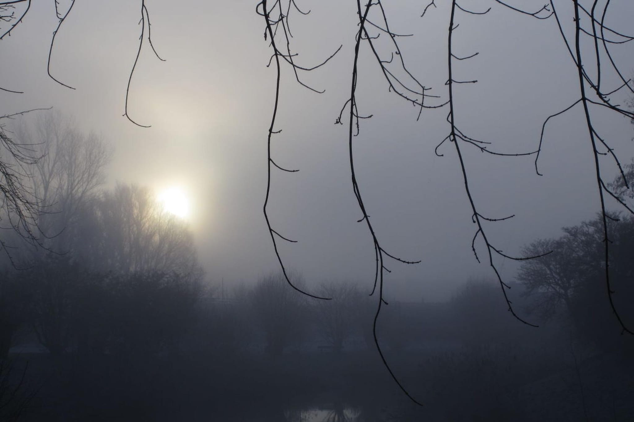 90280-Zones été à 5 km