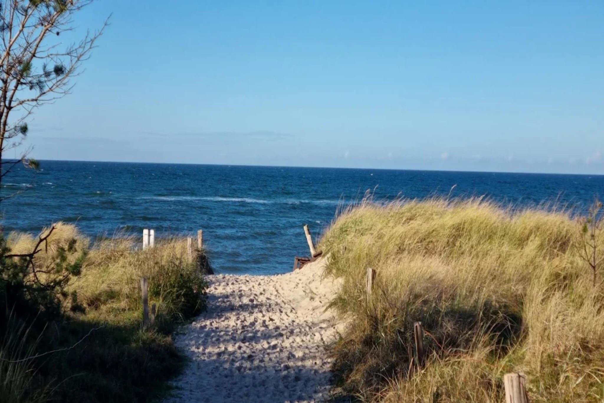 Gartenferienwohnung - Strandhotel Fischland-Gebieden zomer 1km
