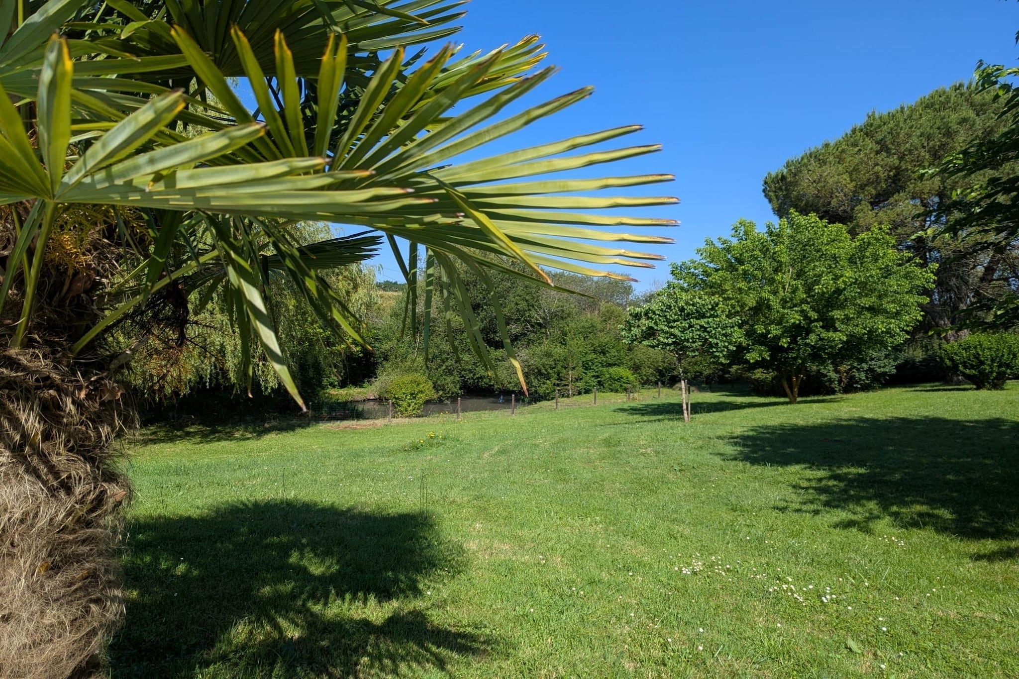 Villa Tournesol-Gardens summer