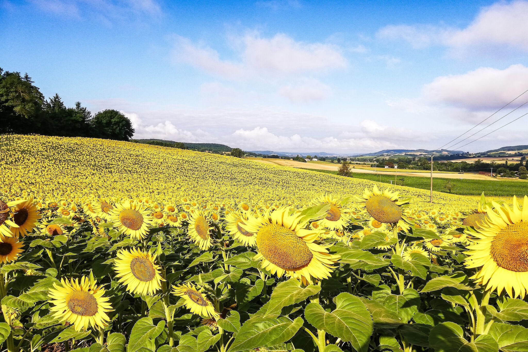 Villa Tournesol-Zones d'été à 1 km