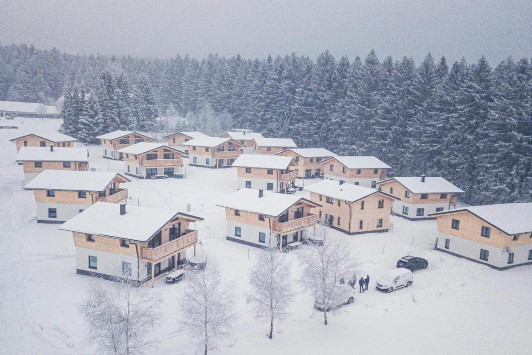 Ferienwohnung-Area winter 20km