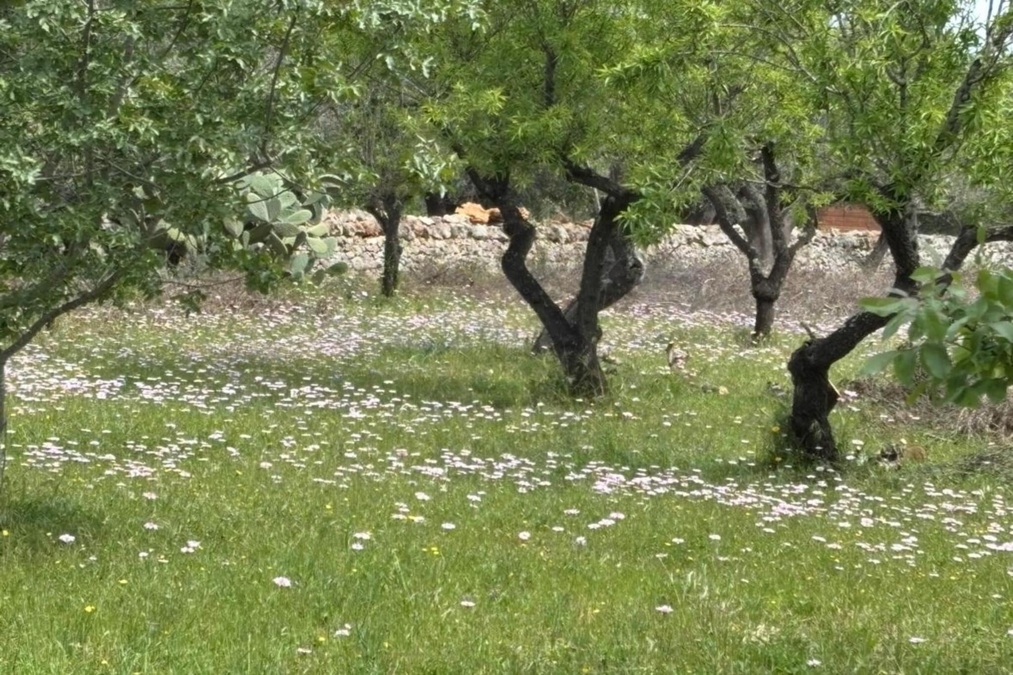 Villa Charme-Tuinen zomer