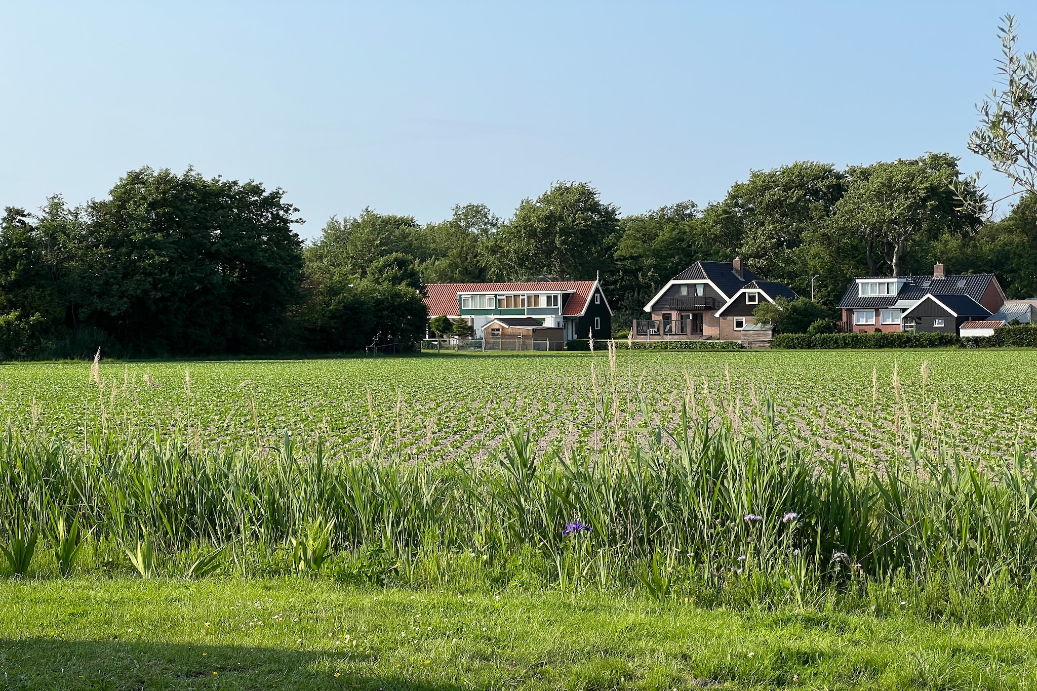 Eureka 103-Gebiete Sommer 1 km
