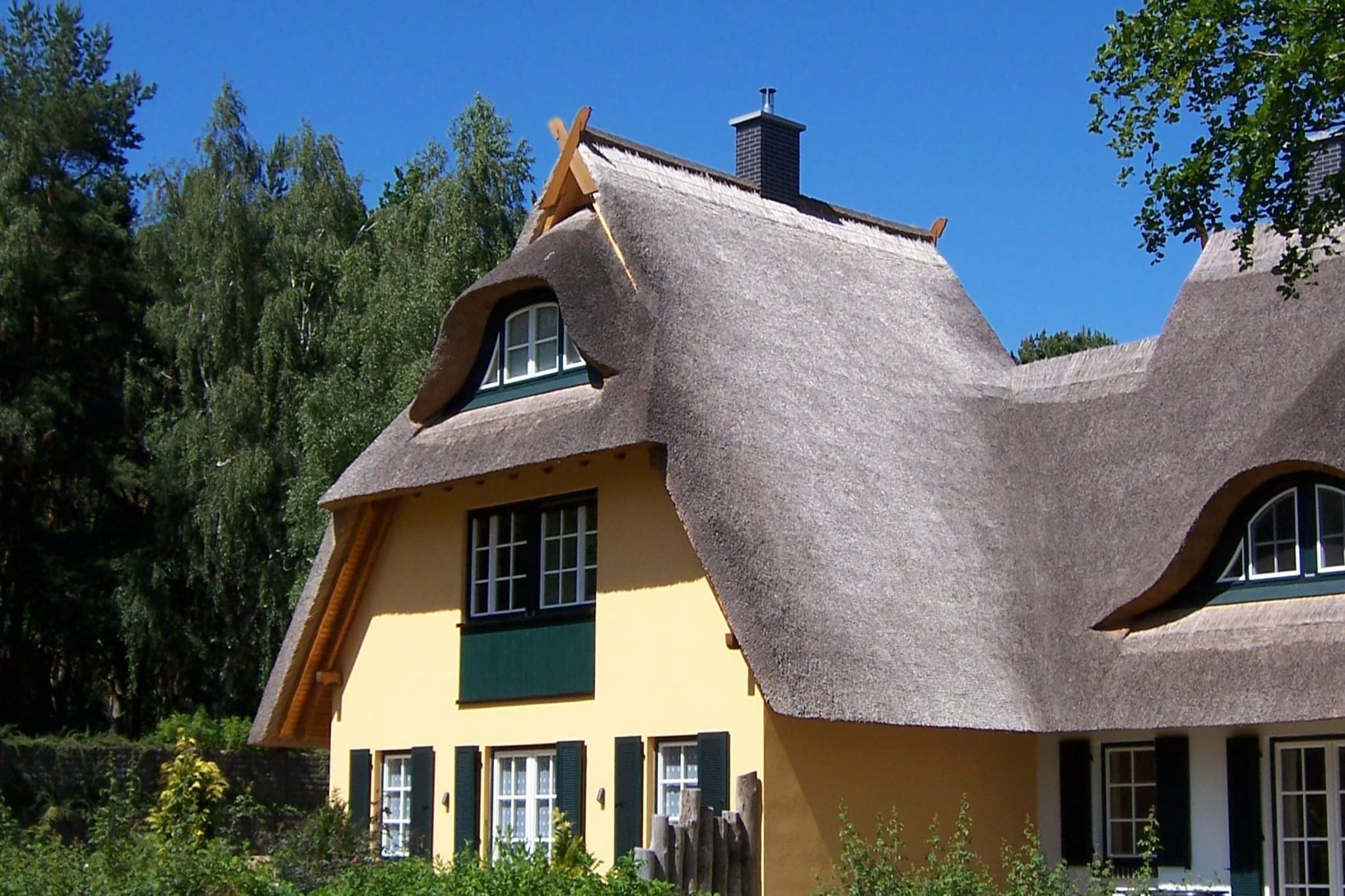 Ferienhaus Küstenwald klein - Strandhotel Fischland-Buitenkant zomer