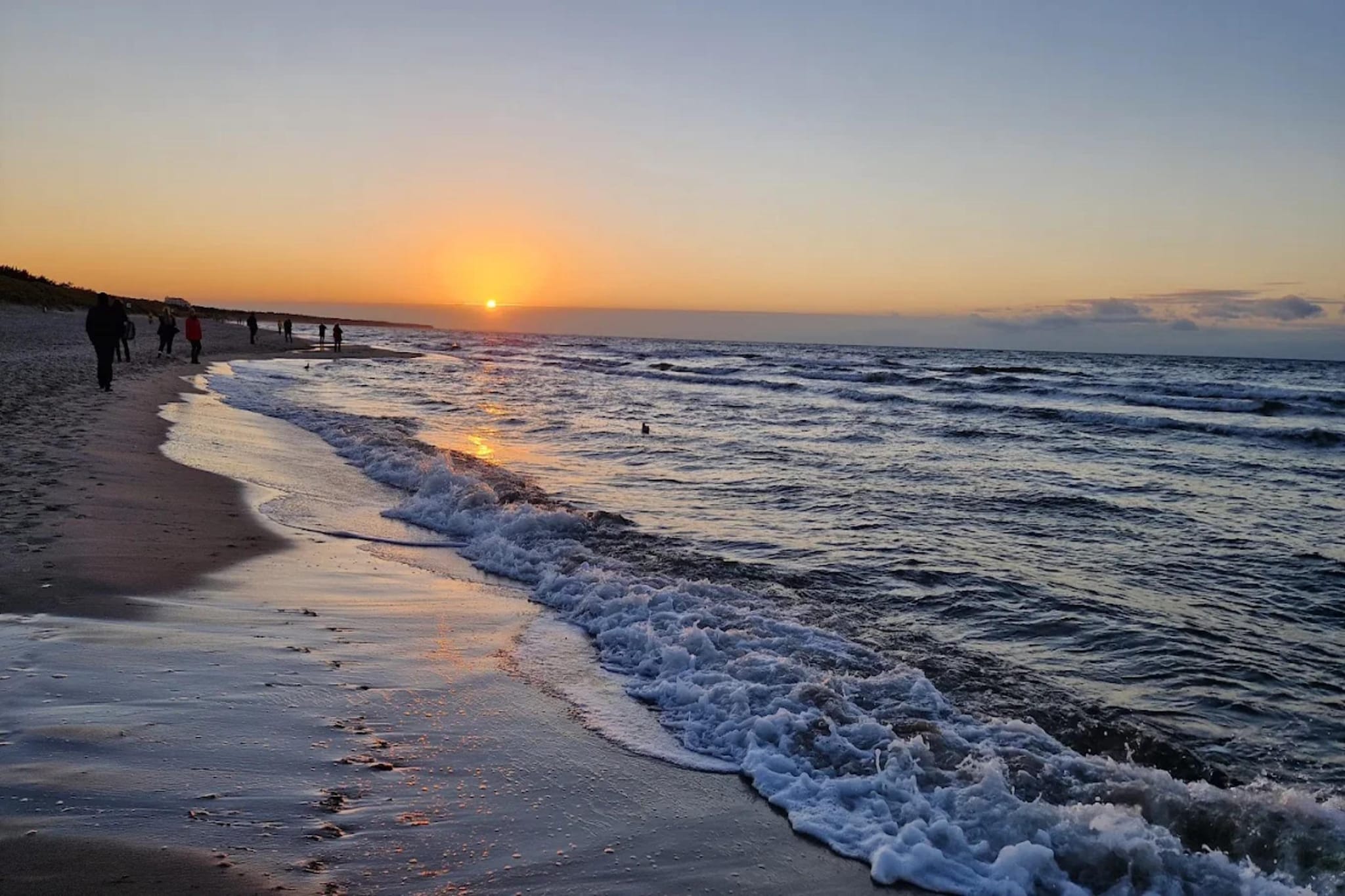 Ferienhaus Küstenwald klein - Strandhotel Fischland-Gebieden zomer 5km