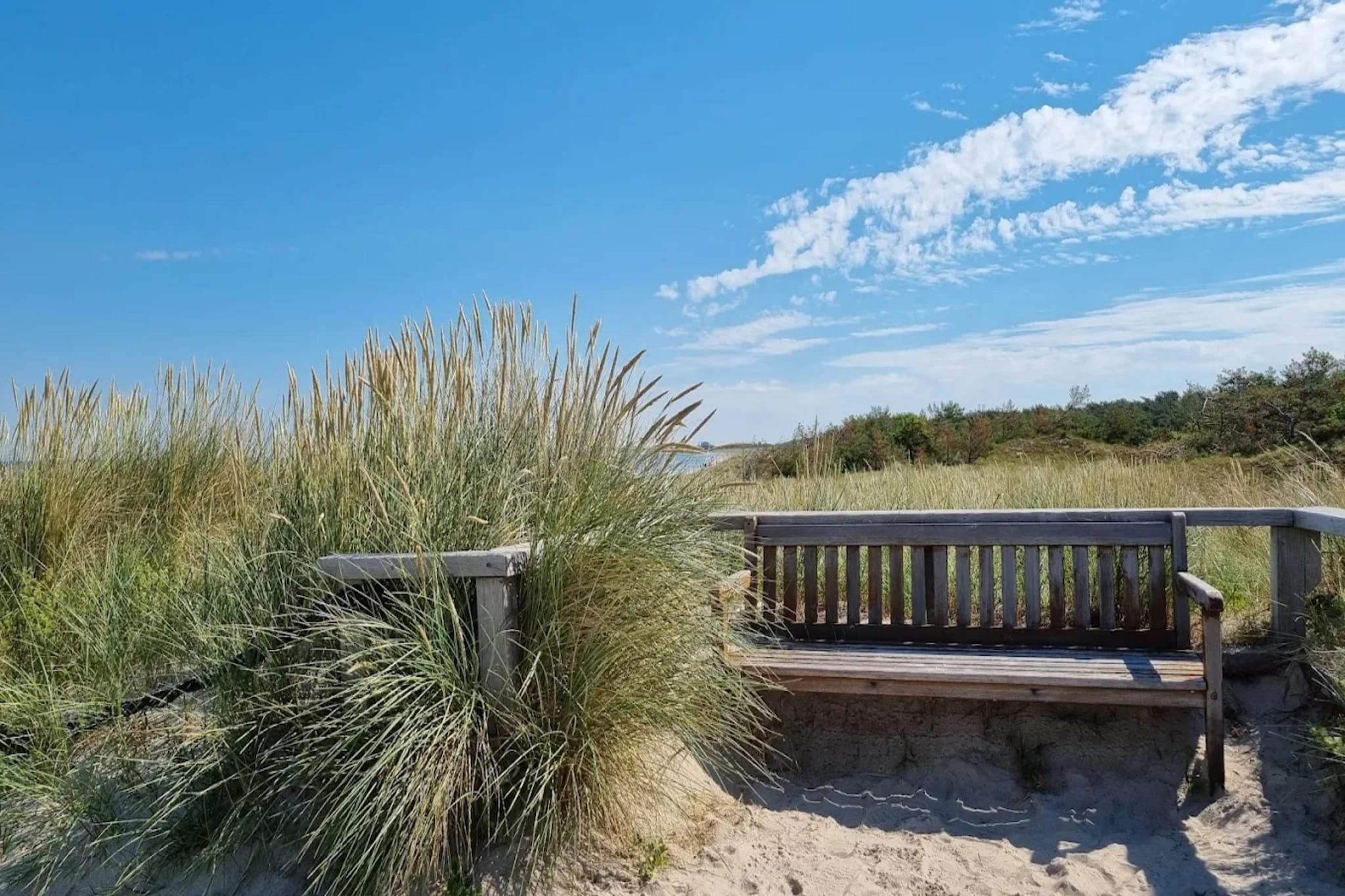 Ferienhaus Küstenwald klein - Strandhotel Fischland-Gebieden zomer 5km