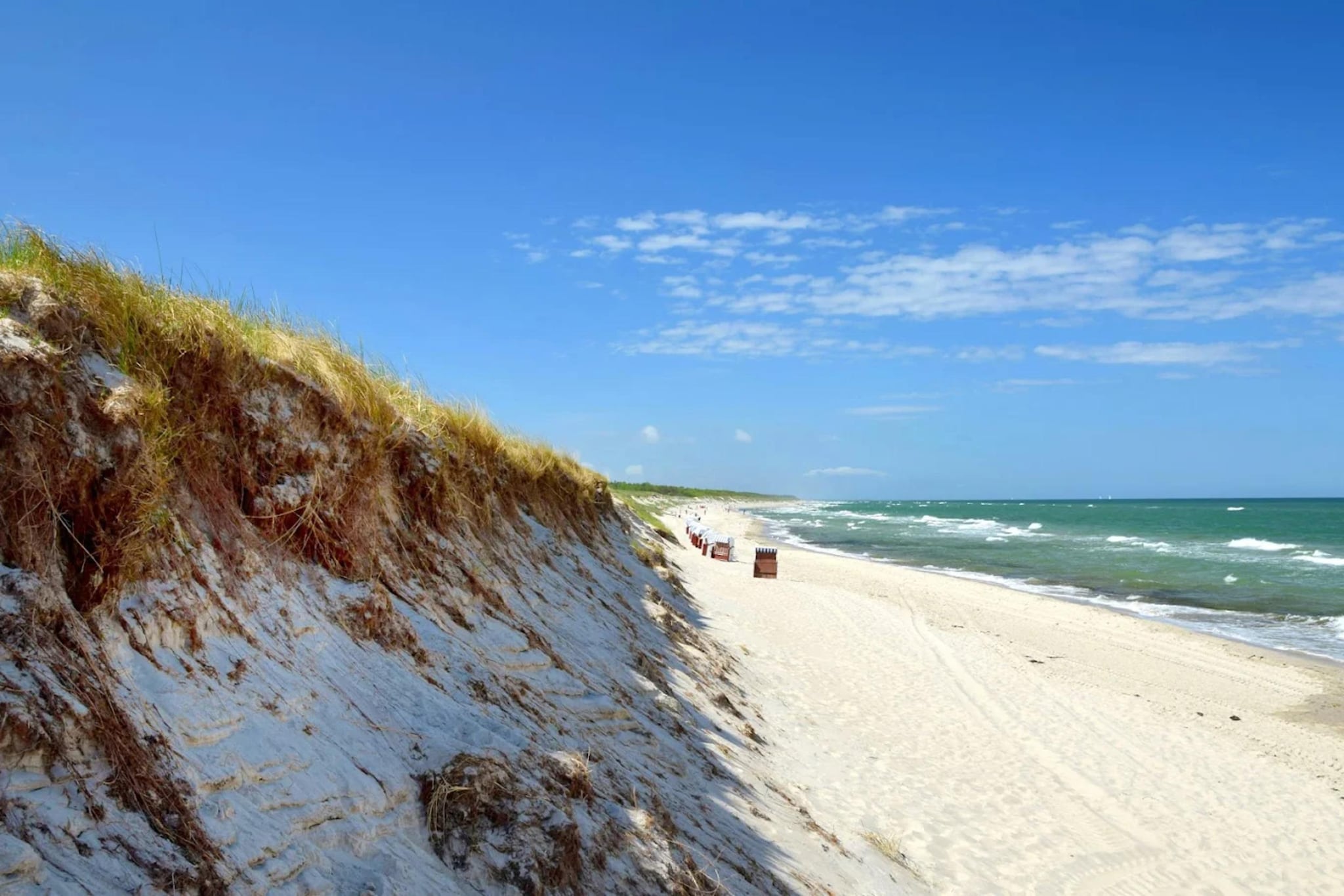 Ferienhaus Küstenwald klein - Strandhotel Fischland-Gebieden zomer 5km