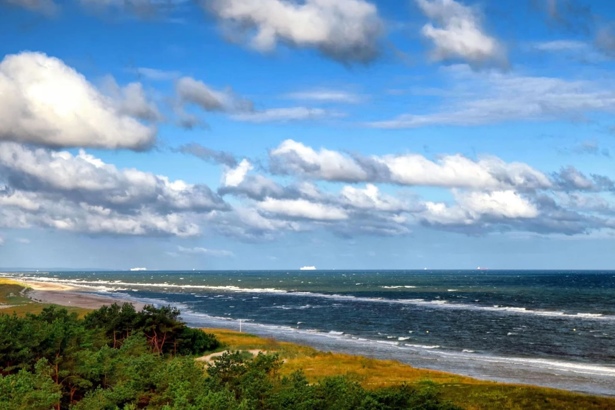 Ferienhaus Küstenwald klein - Strandhotel Fischland-Gebieden zomer 5km